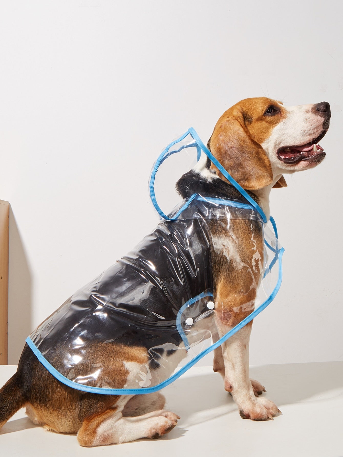 Clear dog clearance raincoat