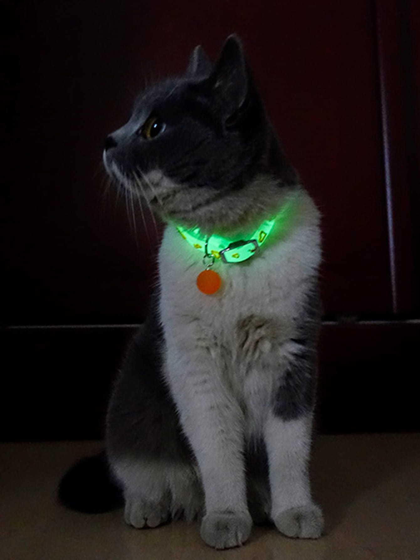 1pc Random Pattern Pet Glow Collar