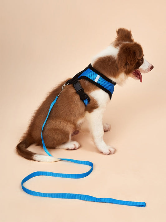 1pc Dog Harness 1pc Dog Leash