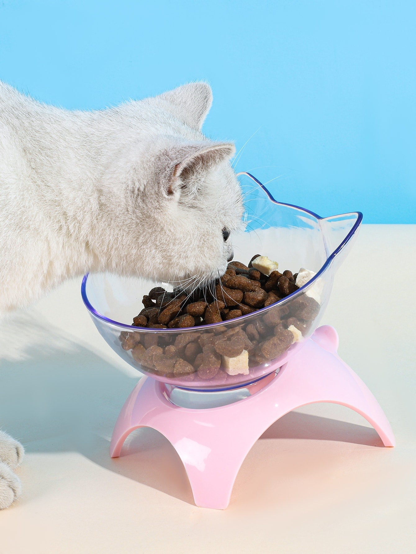 Cat Design Pet Bowl