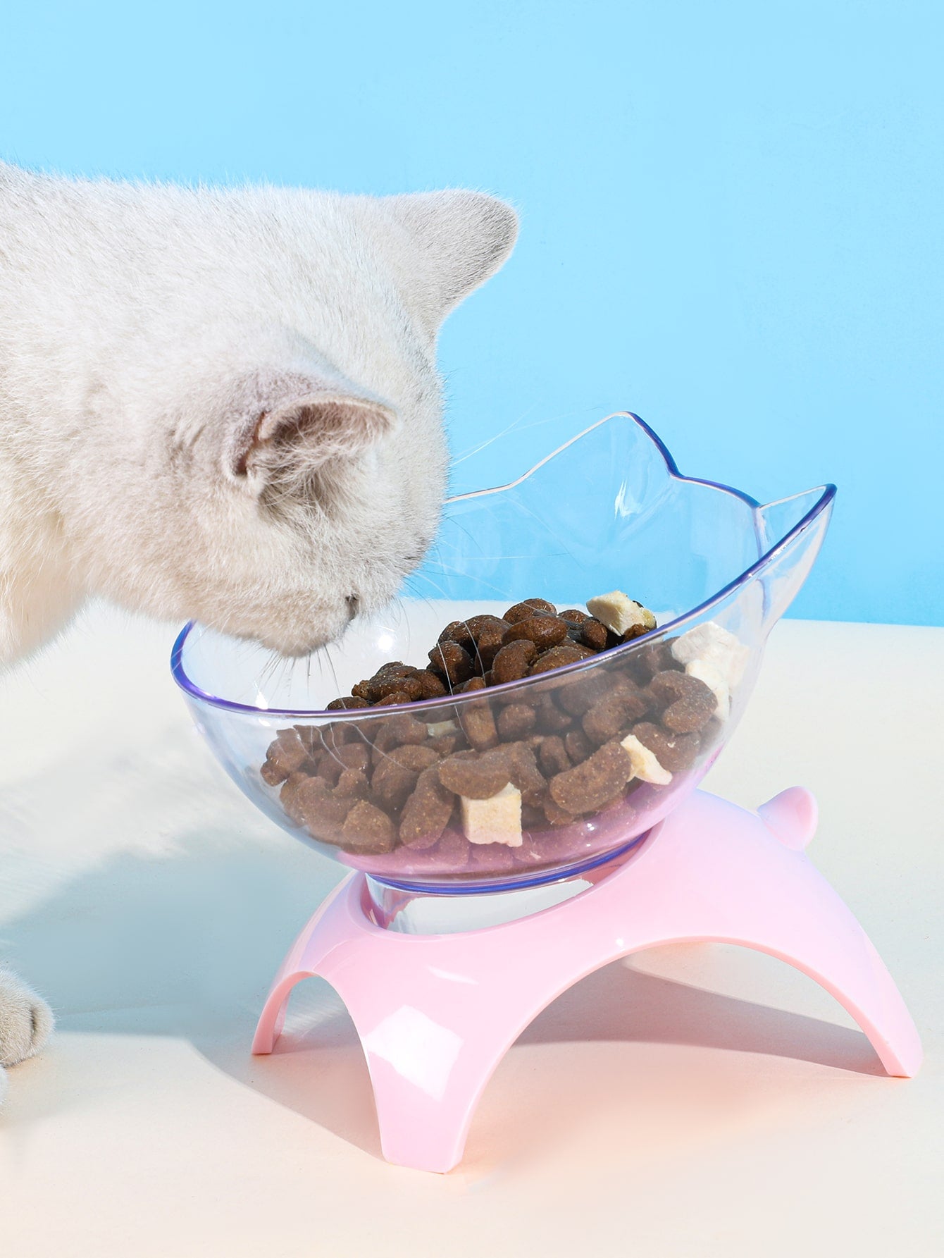 Cat Design Pet Bowl