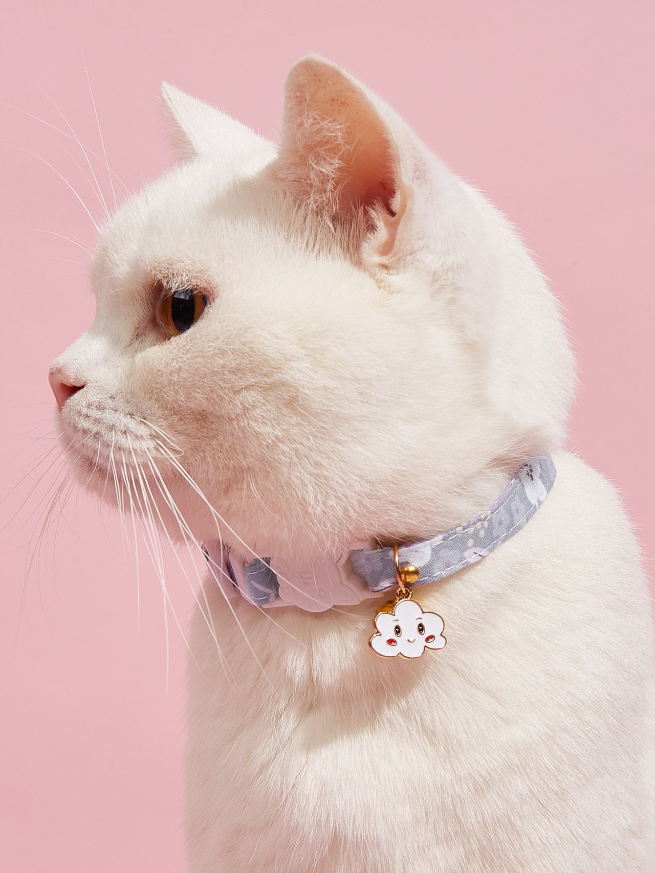 Flower Print Pet Collar
