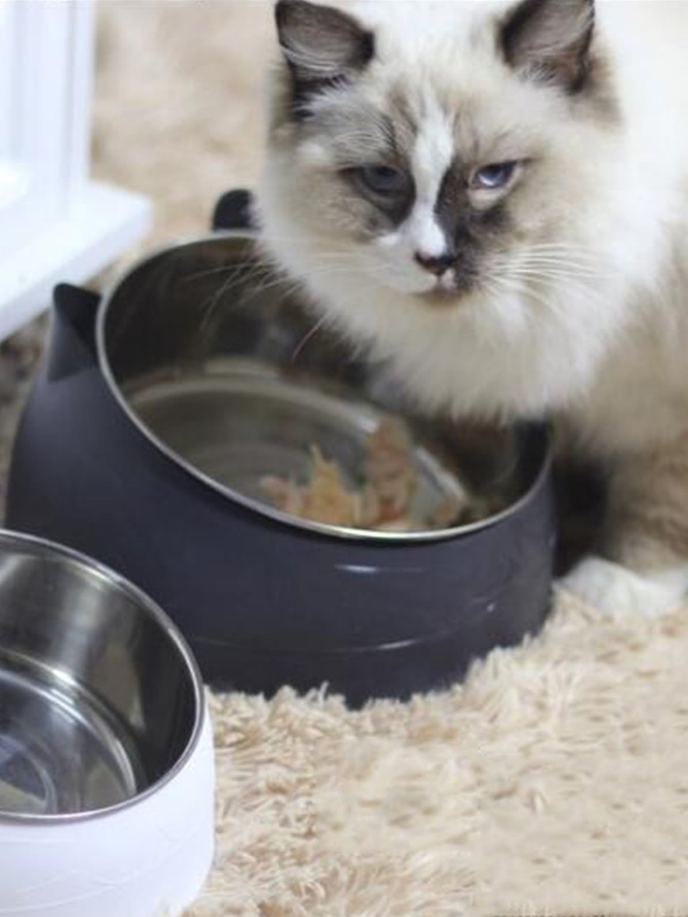 Cat Head Shaped Pet Bowl