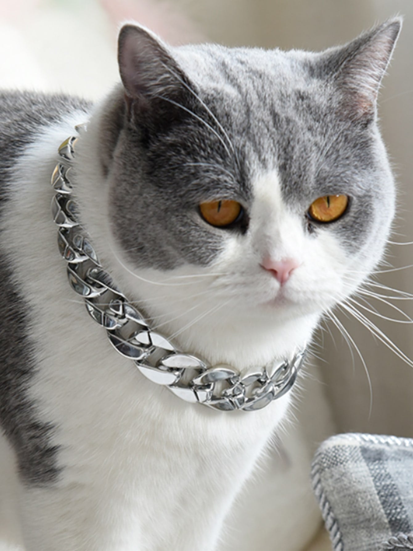 Pet Plastic Chain Necklace