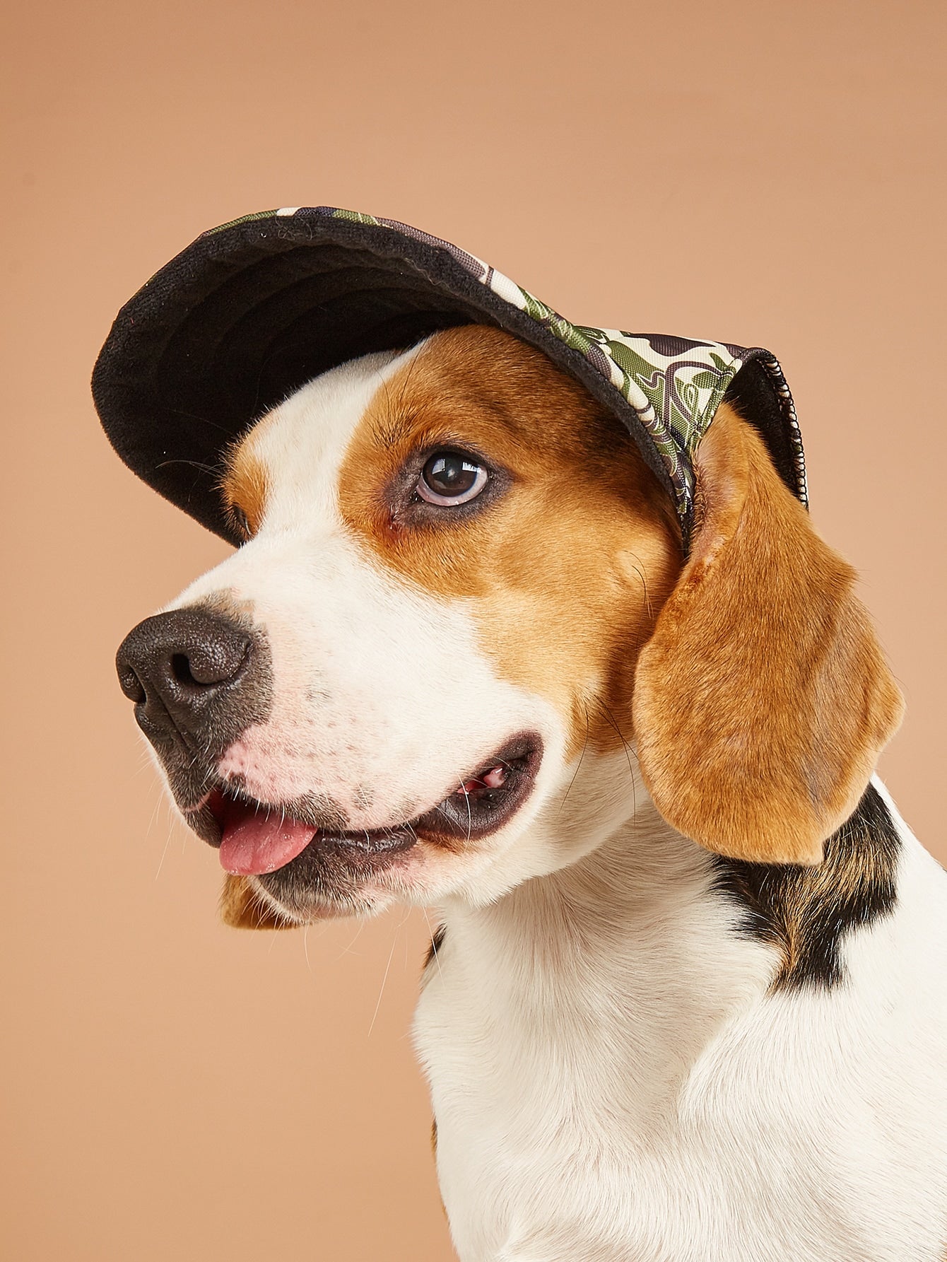 Camouflage Pattern Pet Cap