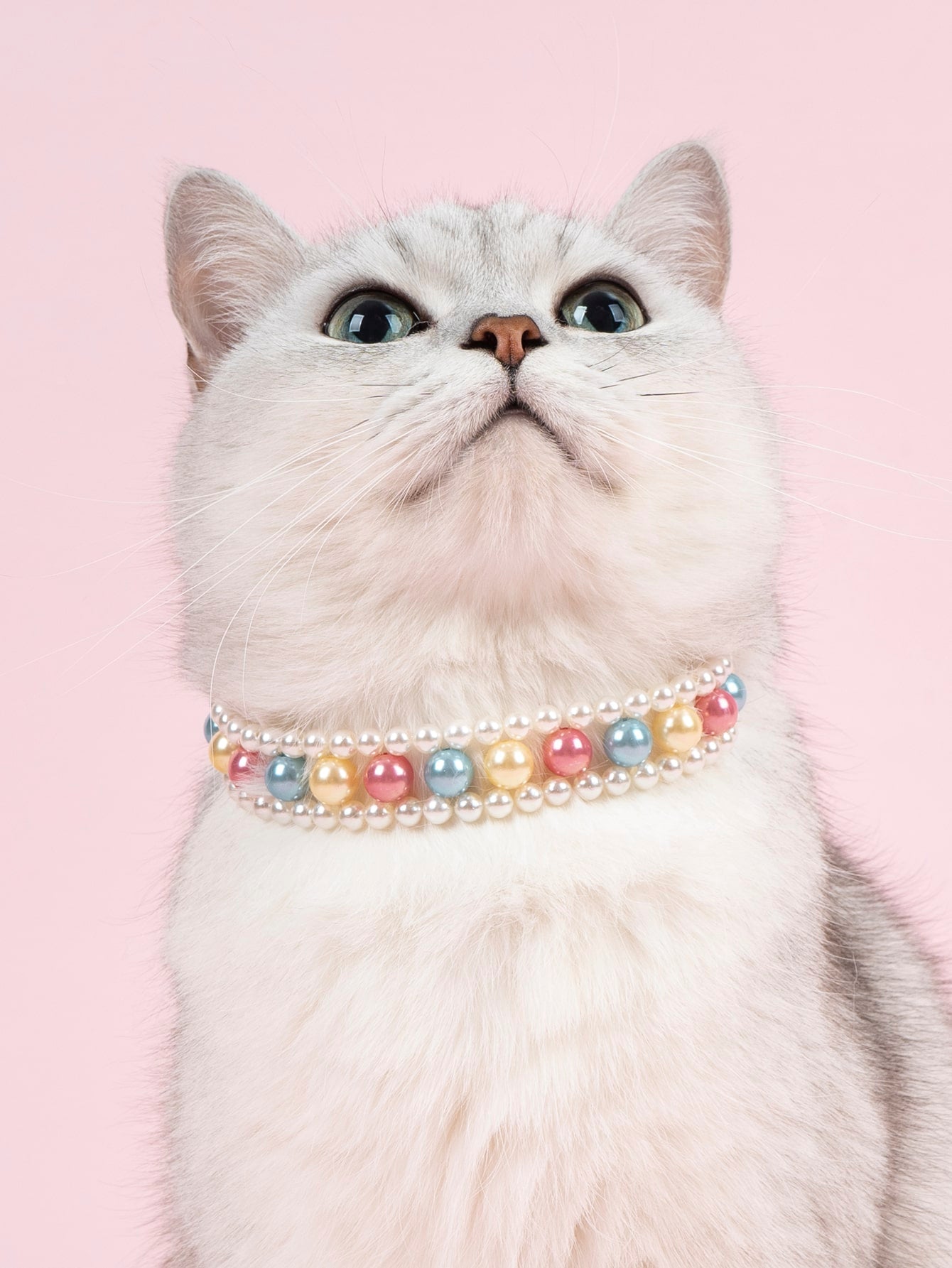 Pet Imitation Pearl Necklace