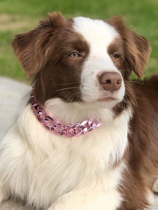 Pet Plastic Chain Necklace