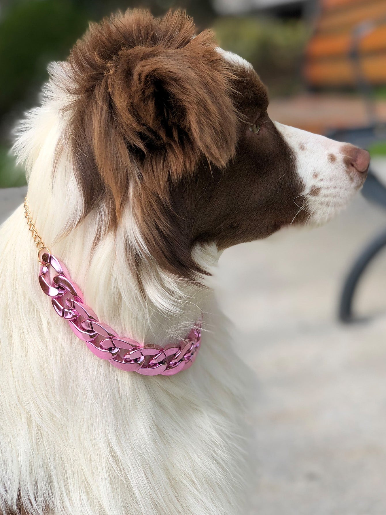 Pet Plastic Chain Necklace