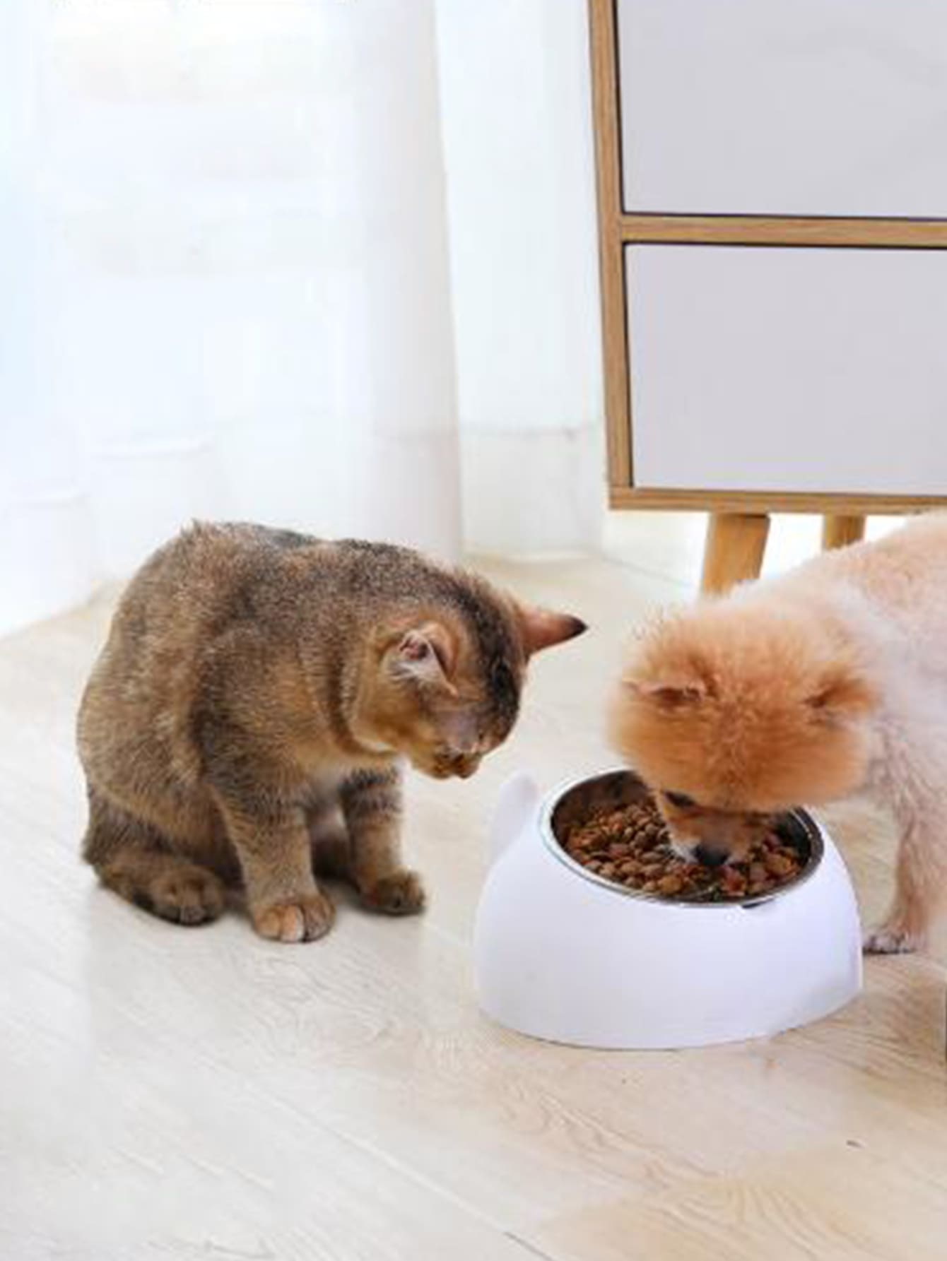 Cat Head Shaped Pet Bowl