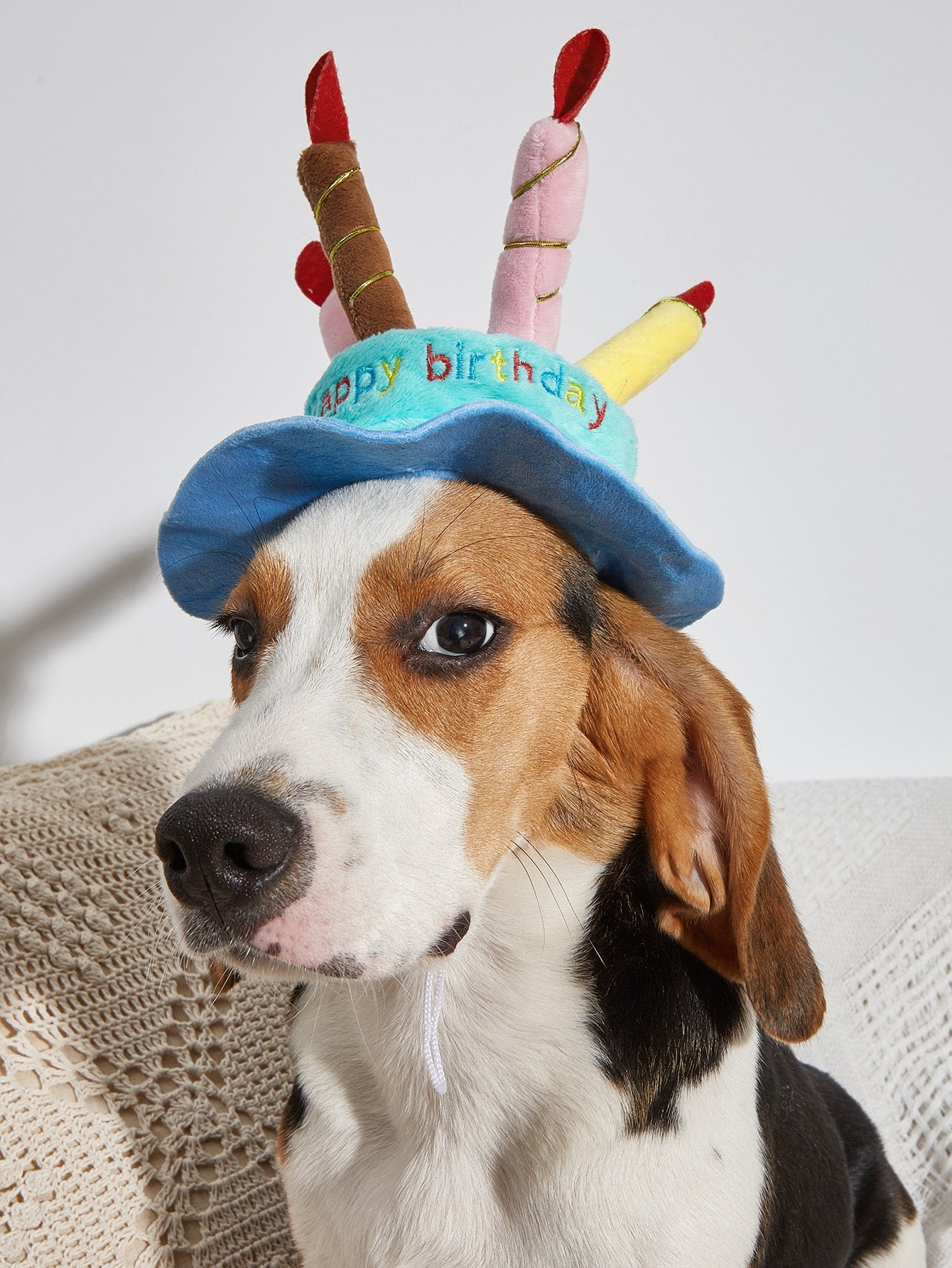 1pc Birthday Cake Shaped Pet Hat