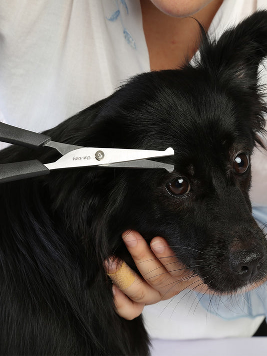 1pc Pet Grooming Scissors