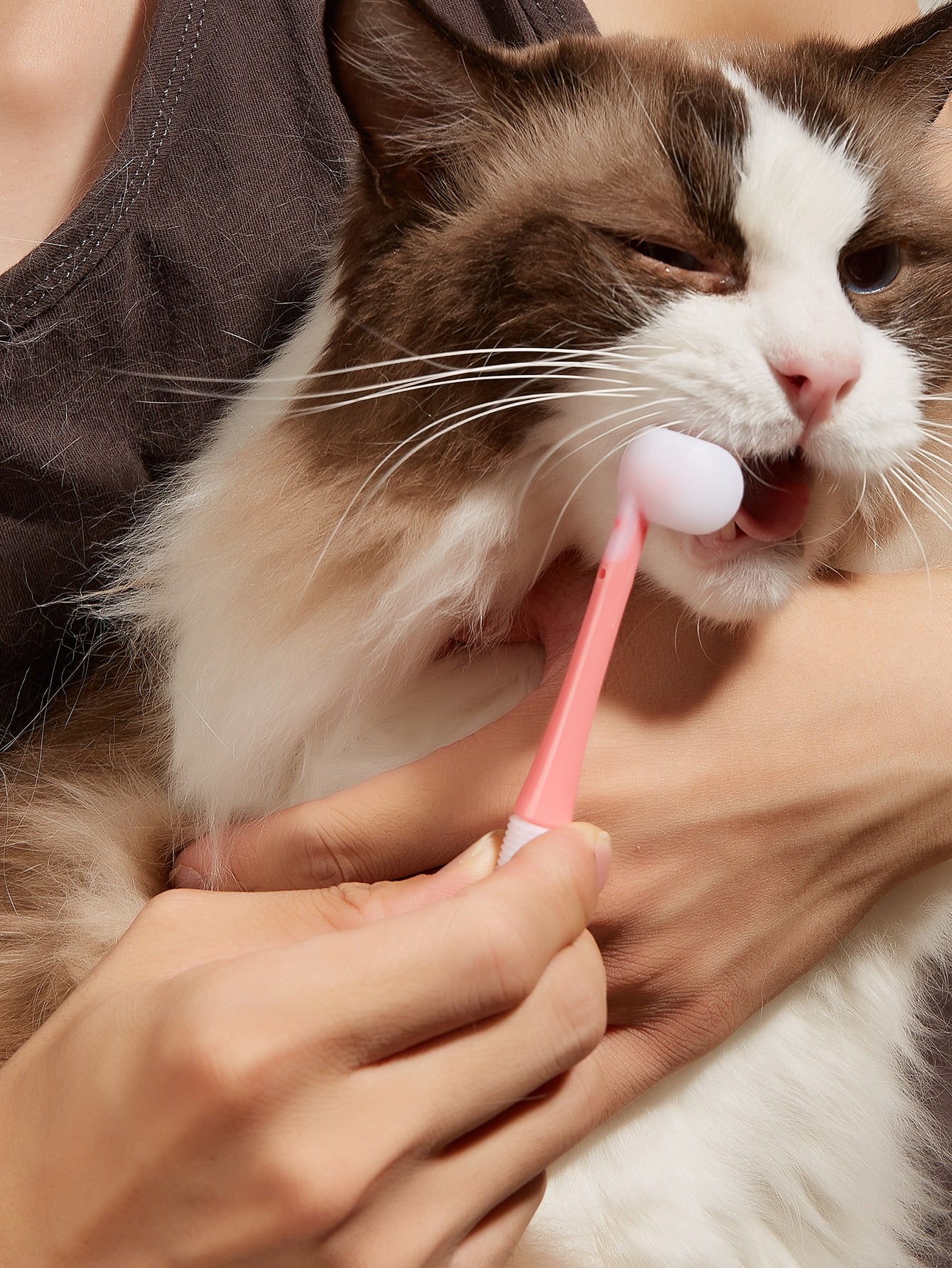 Silicone Pet Toothbrush