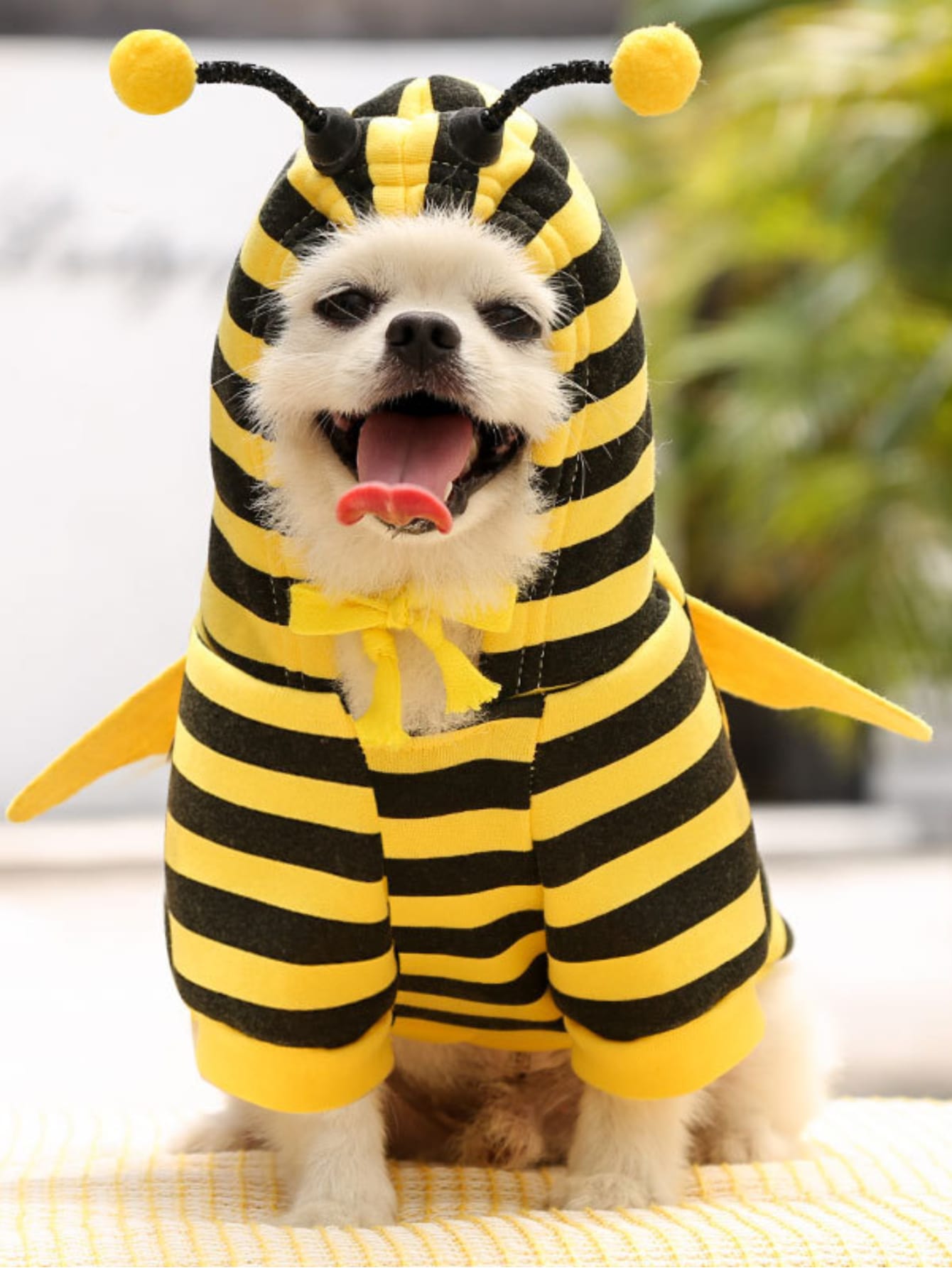 Bee Design Pet Hoodie