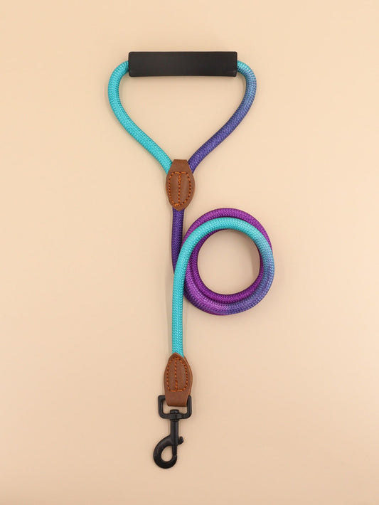 1pc Colorblock Pet Leash