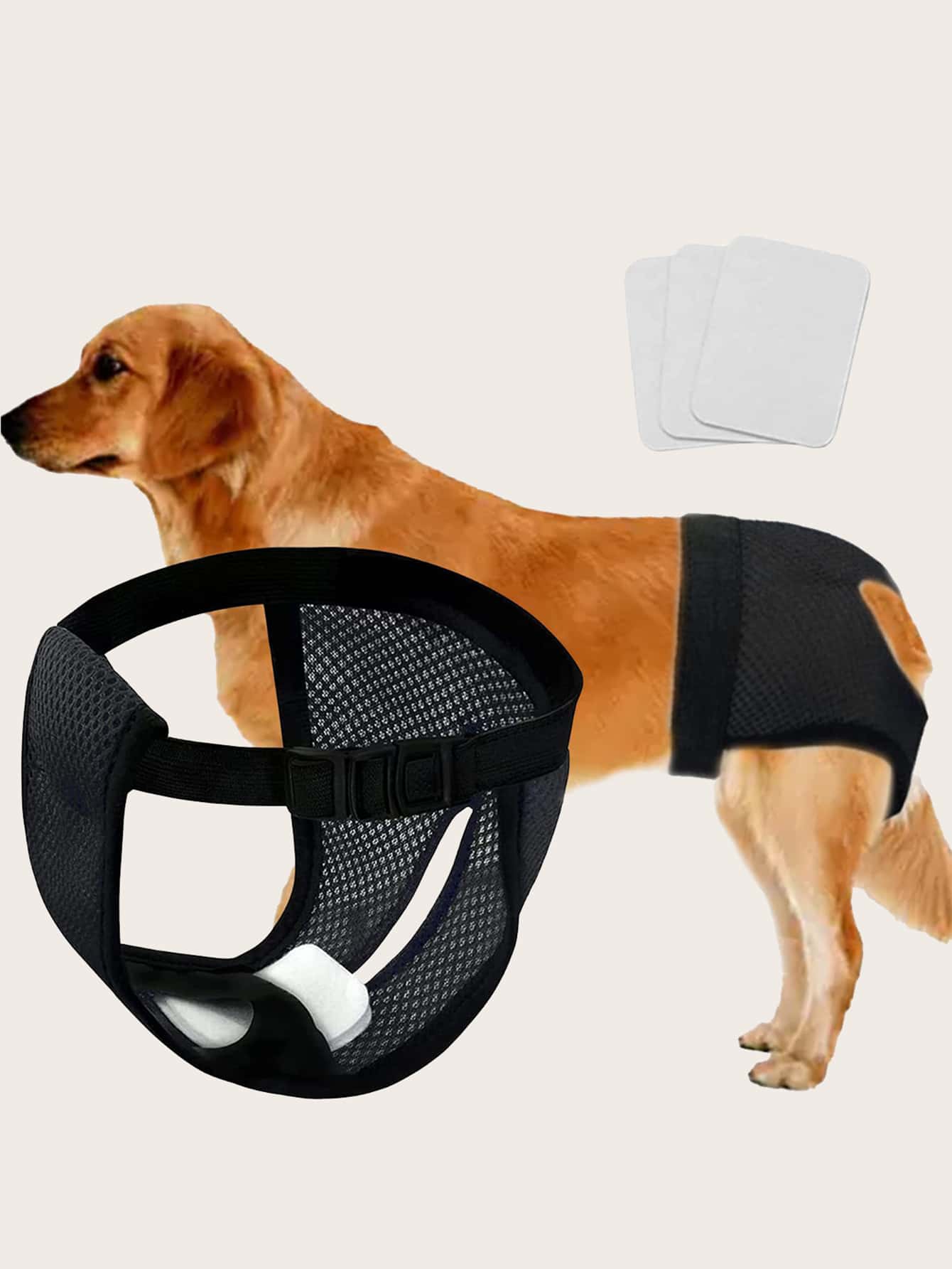 1pc Mesh Pet Sanitary Pants 3pcs Pad