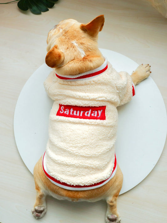 Letter Graphic Plush Pet Sweatshirt