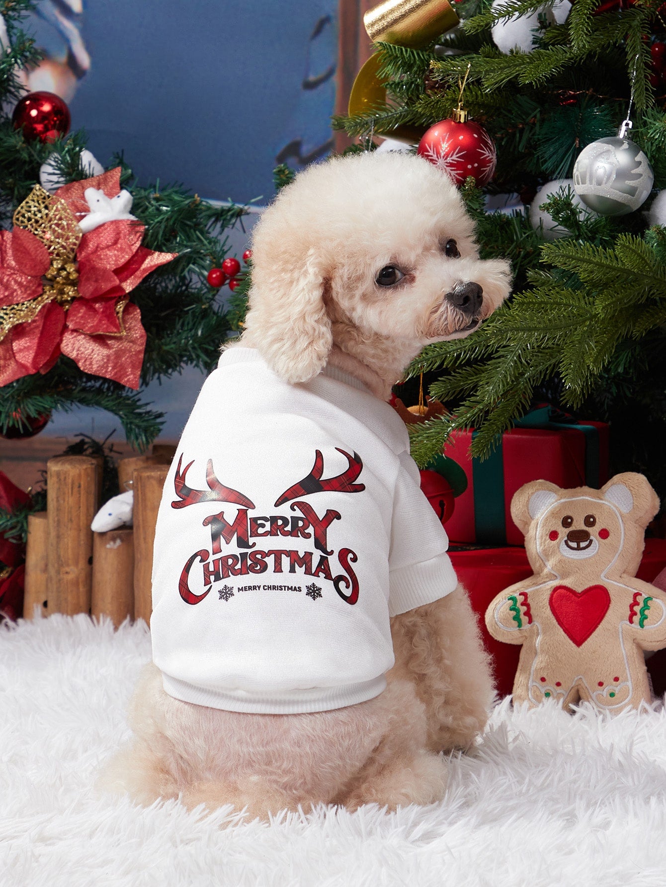 Christmas Letter Graphic Pet Sweatshirt