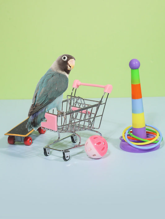 4pcs Parrot Training Toy Set