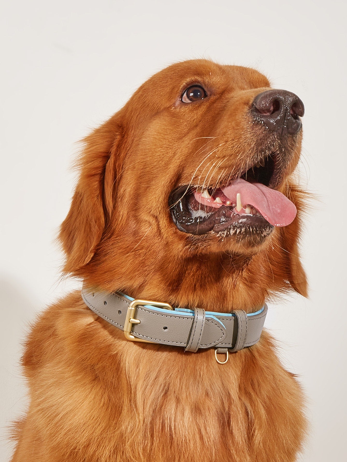 1pc Solid Pet Collar