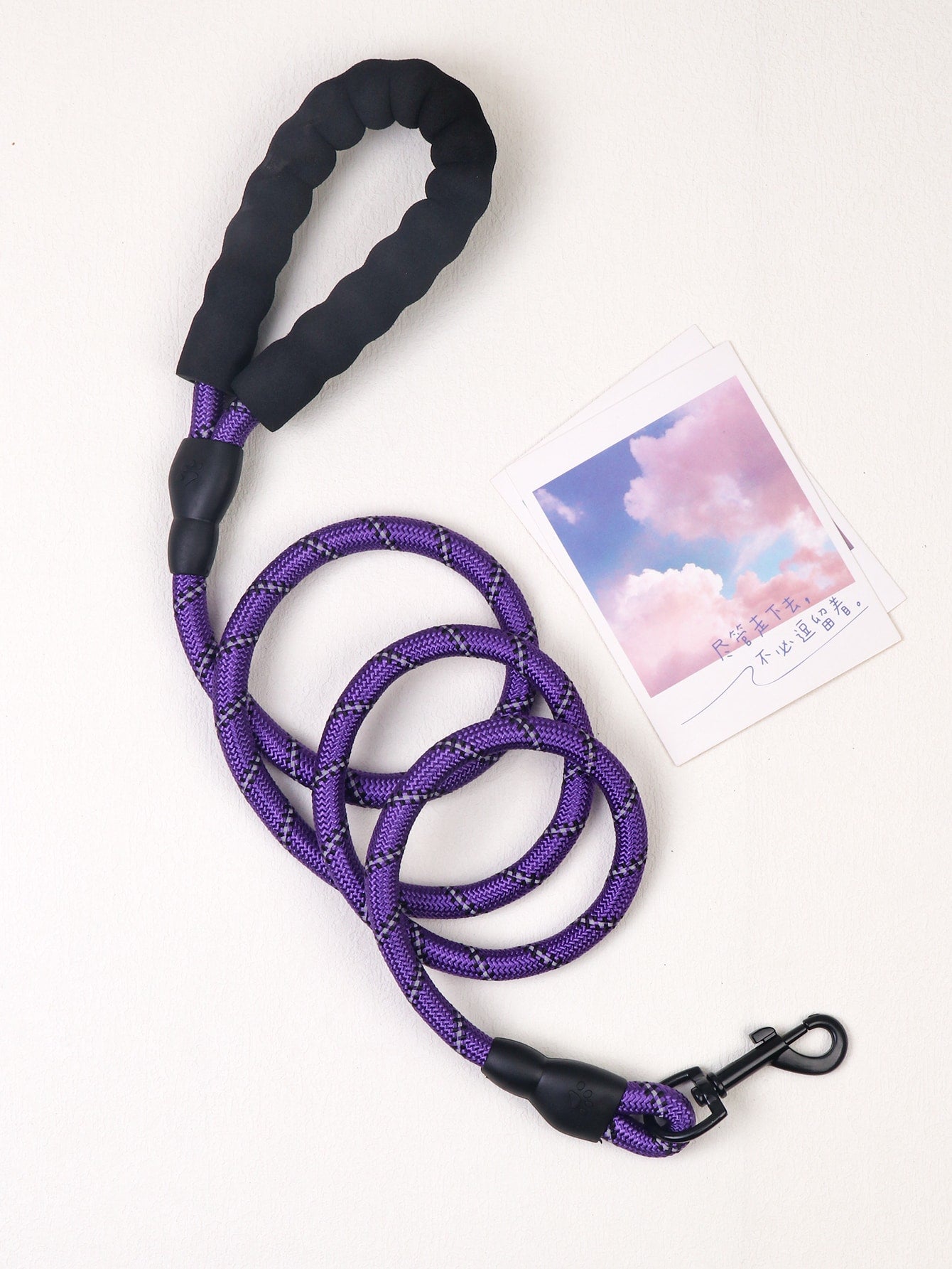 Pet Leash With Reflective Comfortable Padded Handle