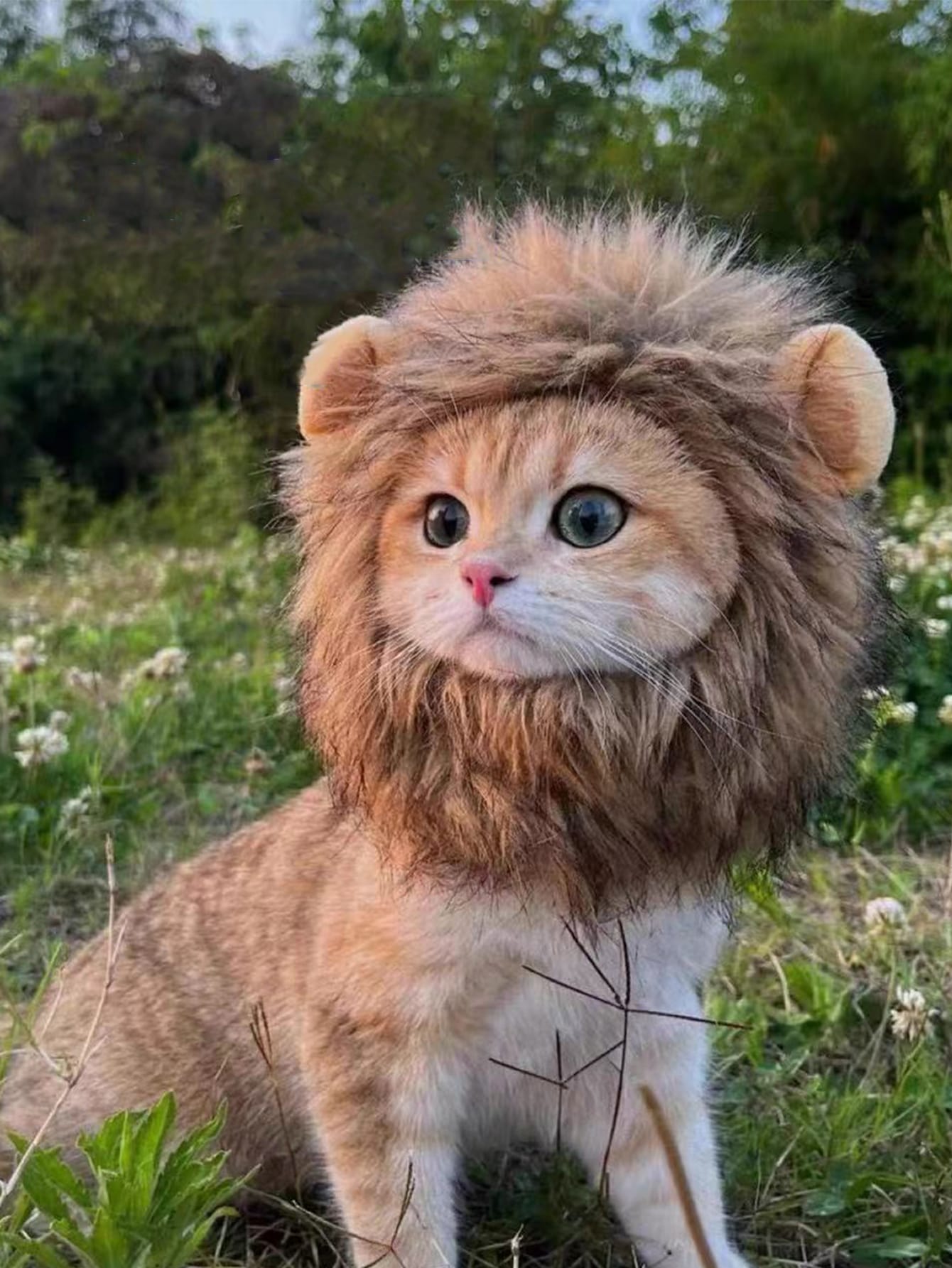 1pc Lion Head Design Pet Headwear