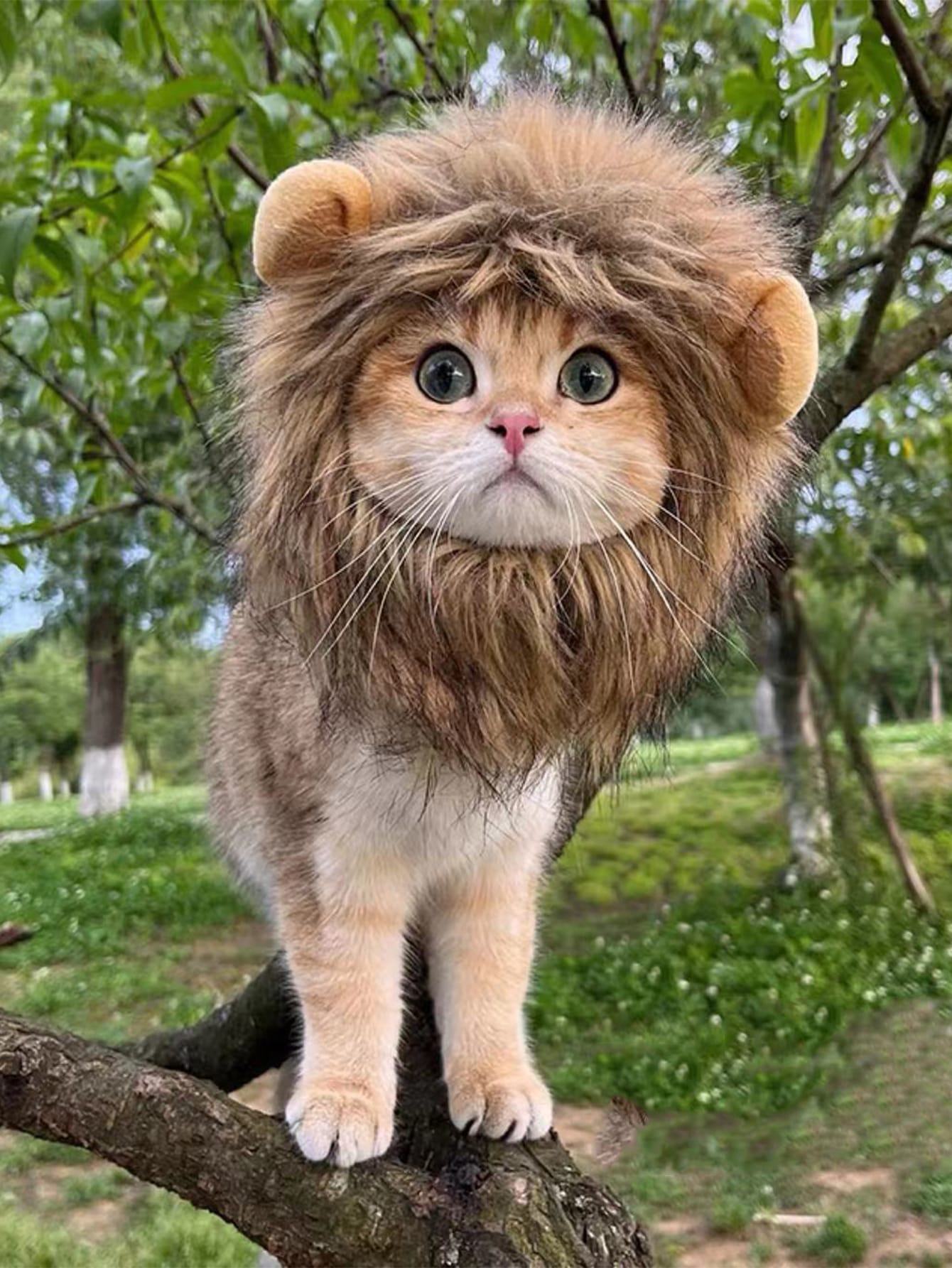 1pc Lion Head Design Pet Headwear