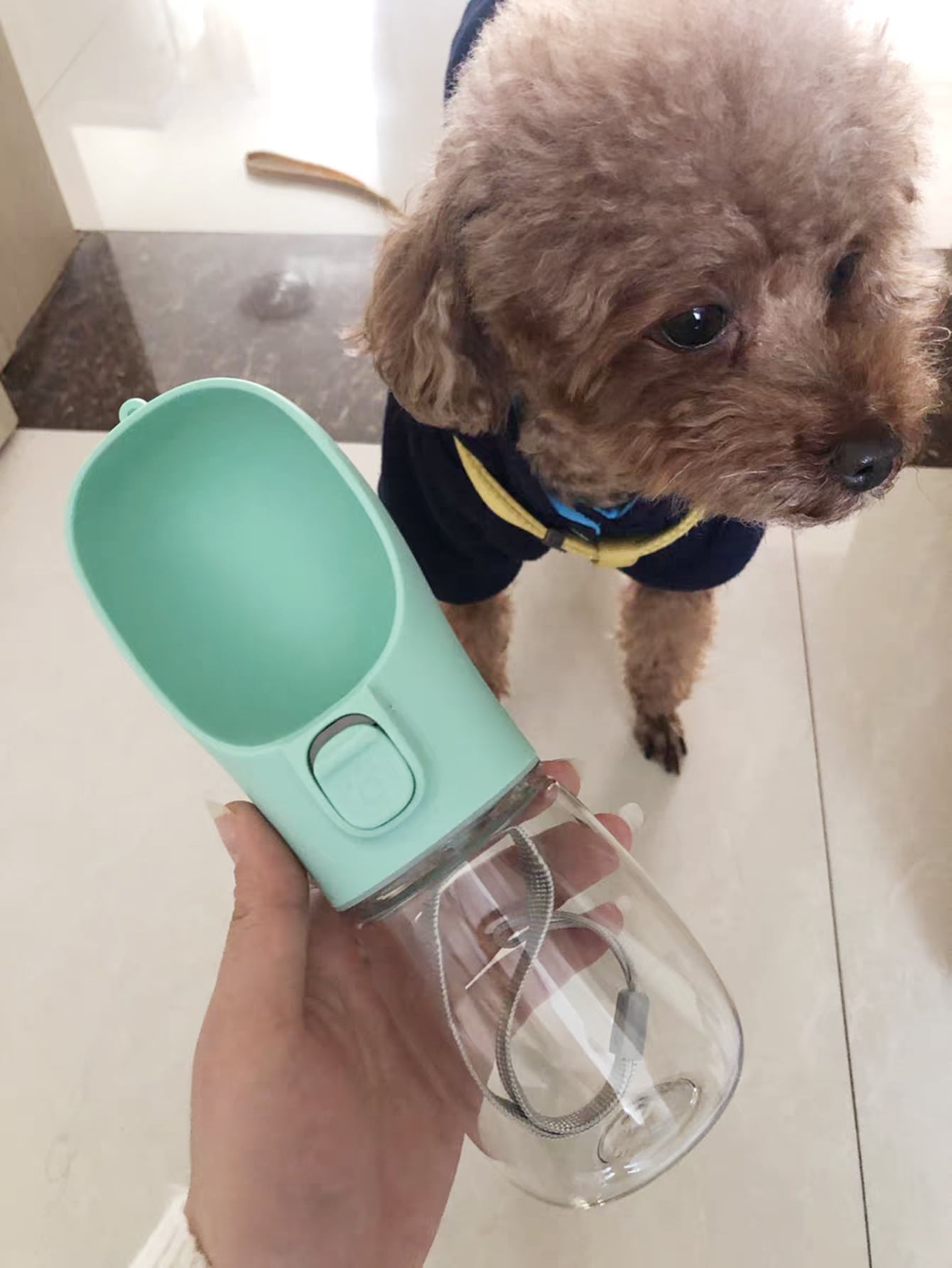 1pc Portable Pet Travel Bottle