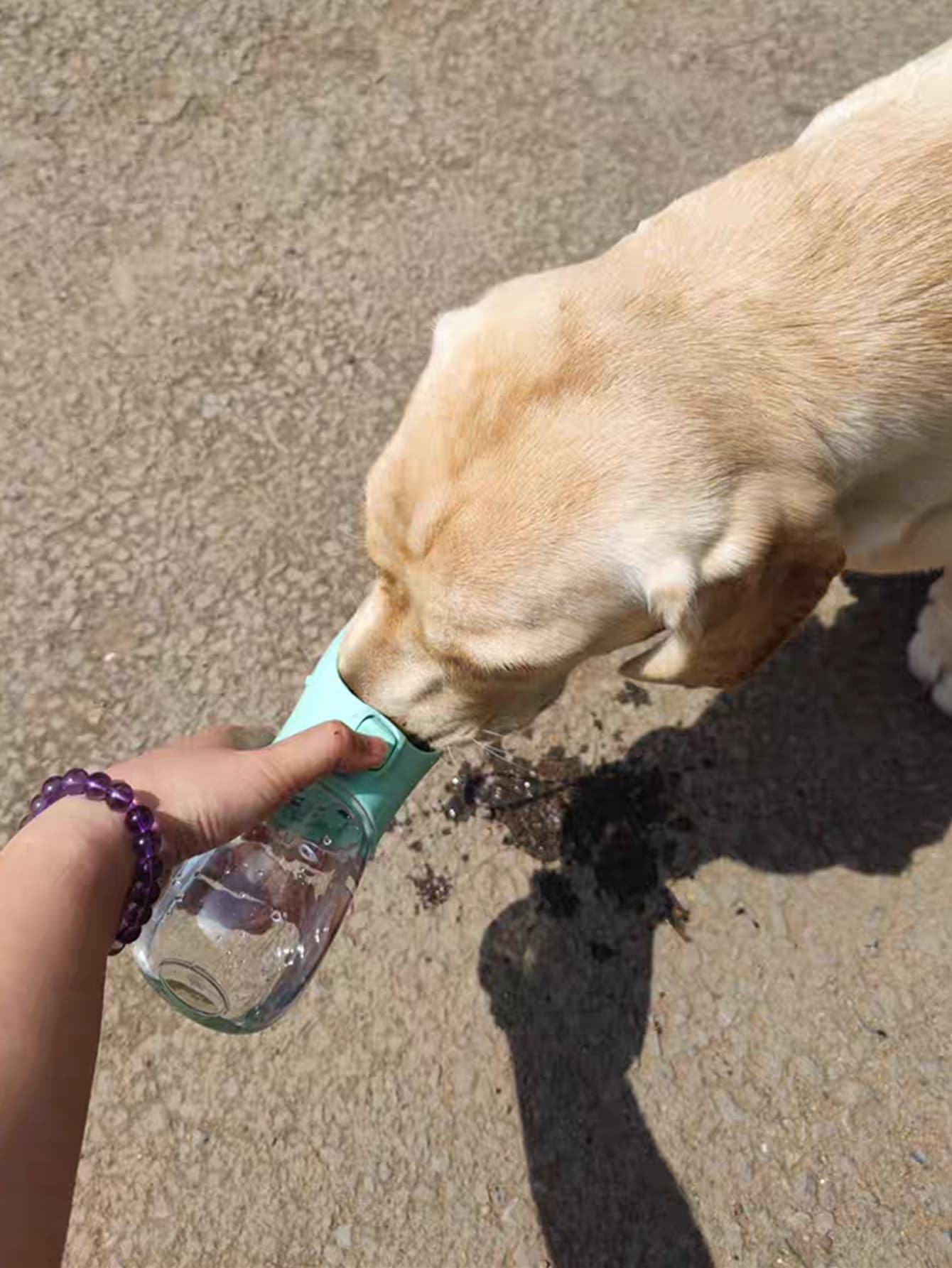 1pc Portable Pet Travel Bottle