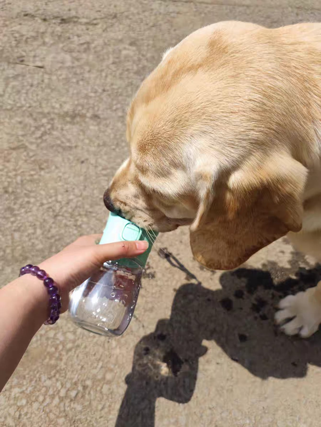 1pc Portable Pet Travel Bottle