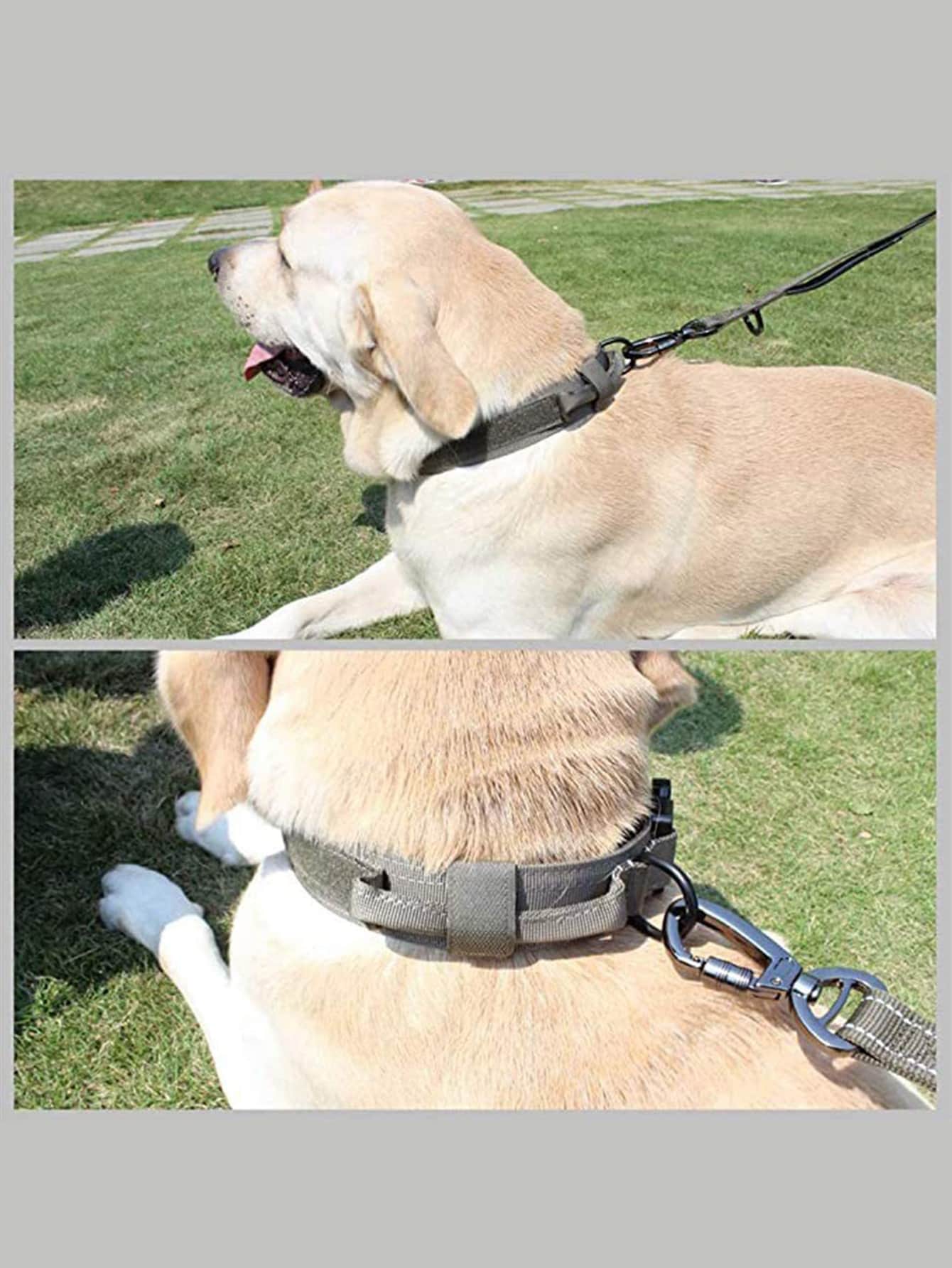 1pc Adjustable Pet Collar