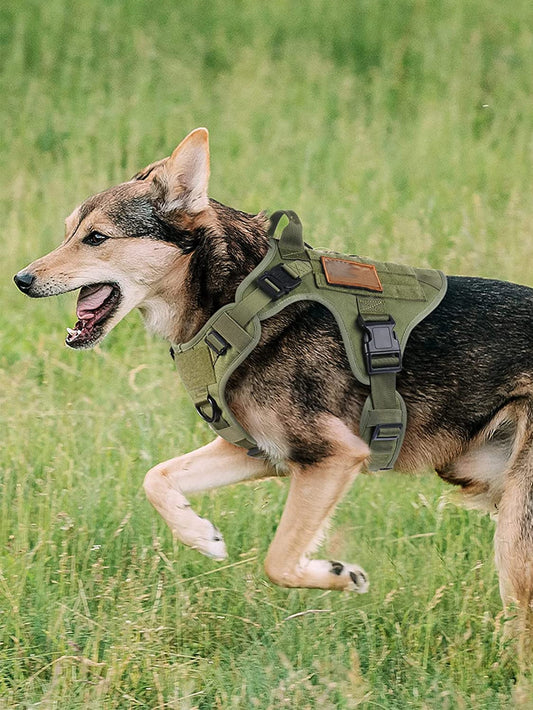 1pc Adjustable Pet Harness