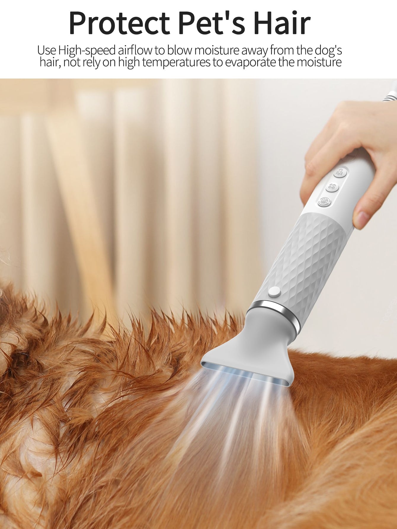 1Set,EU Plug Portable 2 in 1 Pet Hair Dryer For Dogs Cat Grooming Comb Brush NTC Smart Control Professional Dog Blow Dryer Pet Blower