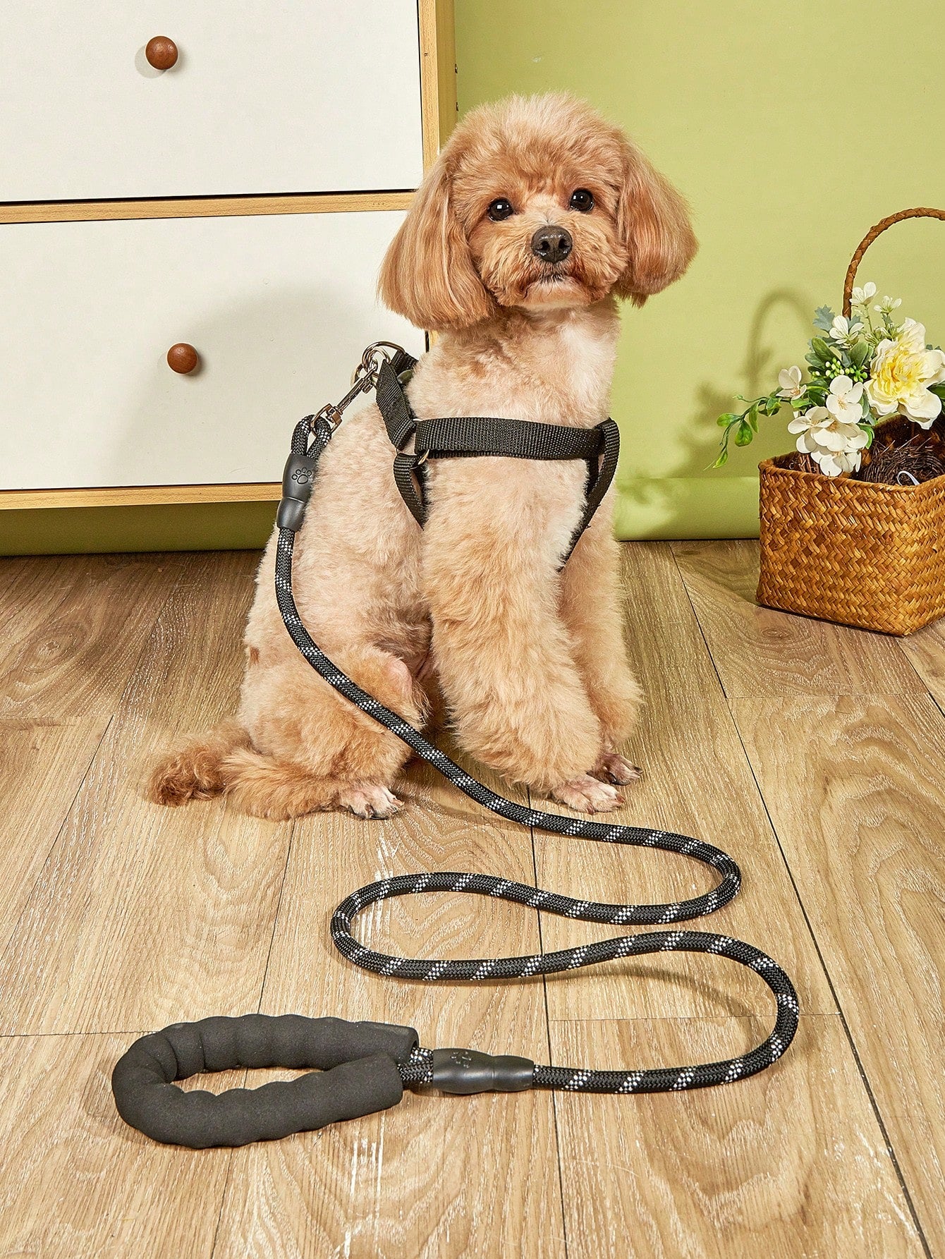 1pc Adjustable Pet Harness 1pc Leash For Cat And Dog For Outdoor