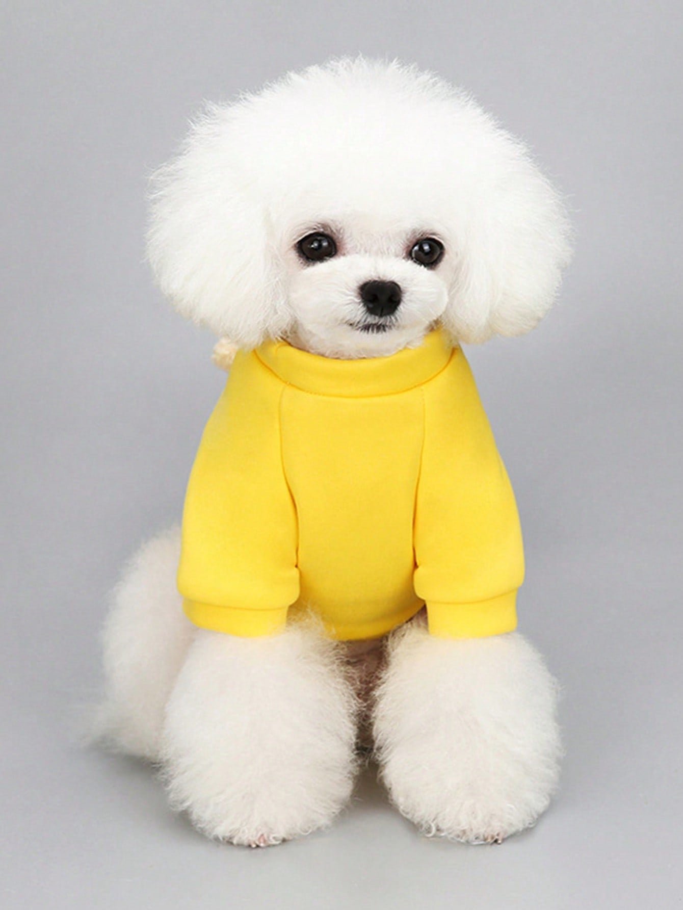 1pc Bear Decor Pet Sweatshirt For Dog And Cat For Spring