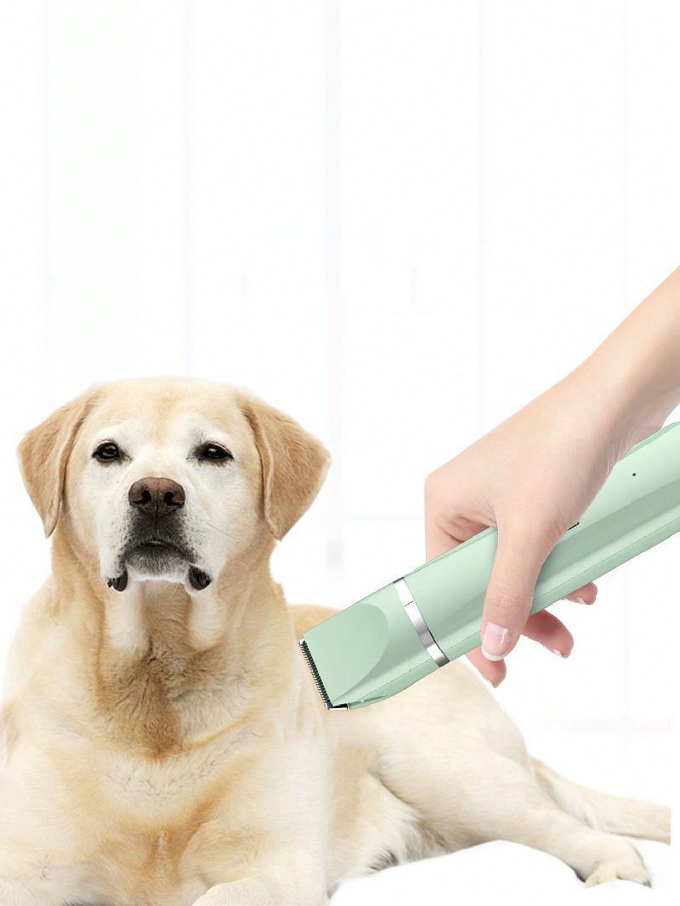 Pet Hair Clipper Electric Trimmer For Dogs And Cats, Foot Hair Trimming, Beauty Tool