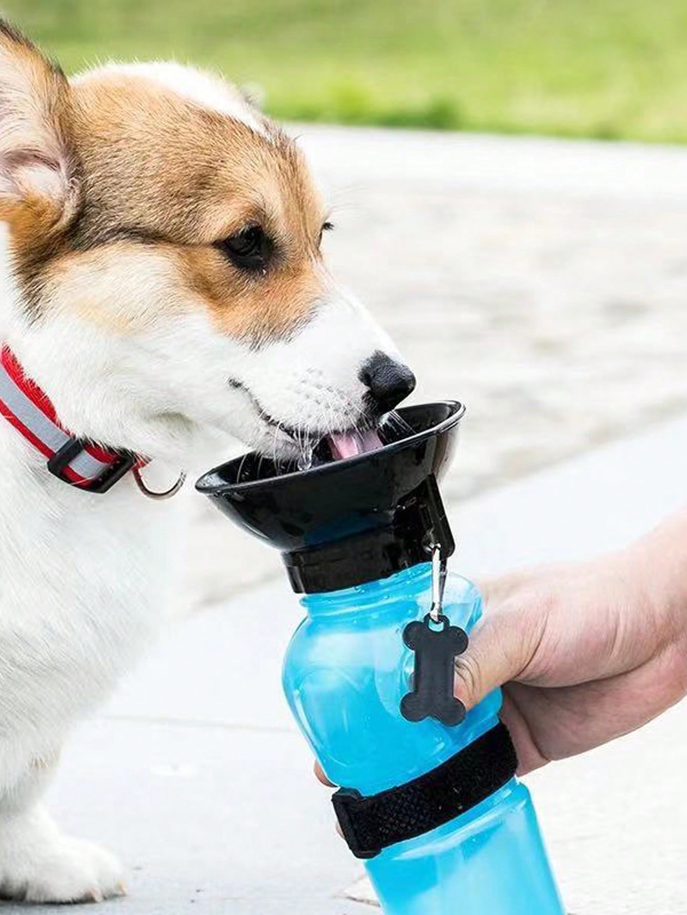 Pet travel outlet bottle