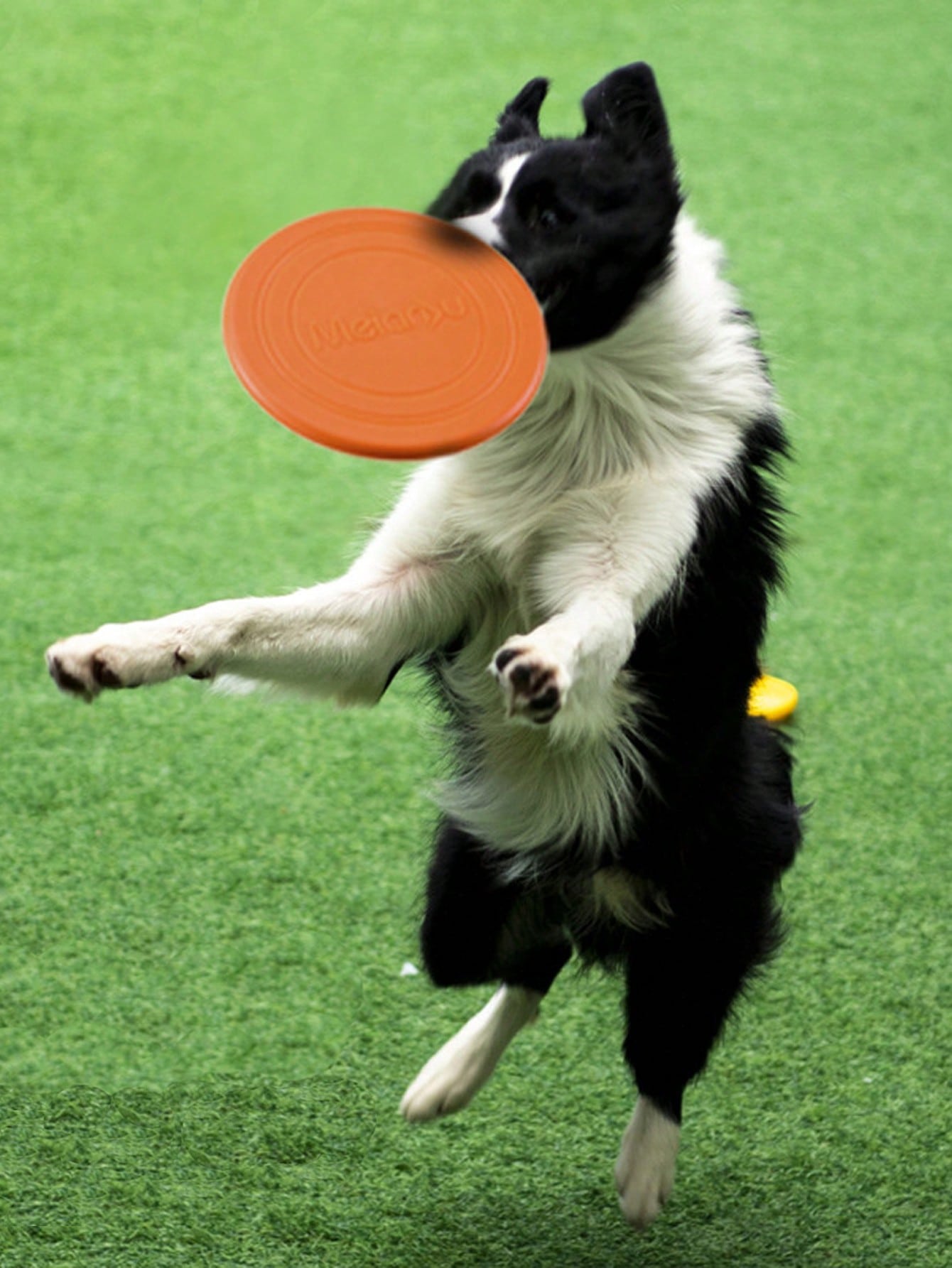 1pc Solid Color Pet Flying Disk For Dog For Training