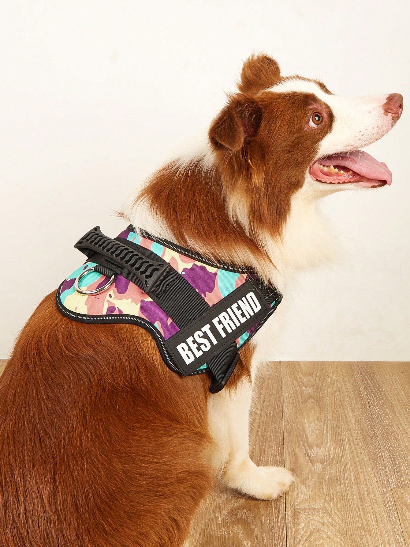 1pc Letter Graphic No Pull Pet Harness For Dog For Outdoor