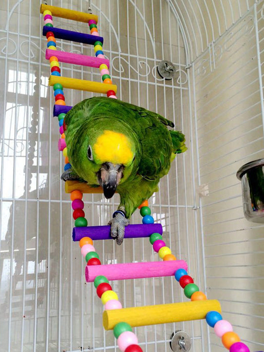 1pc Beaded DIY Laddering Rope Parrot Training Toy