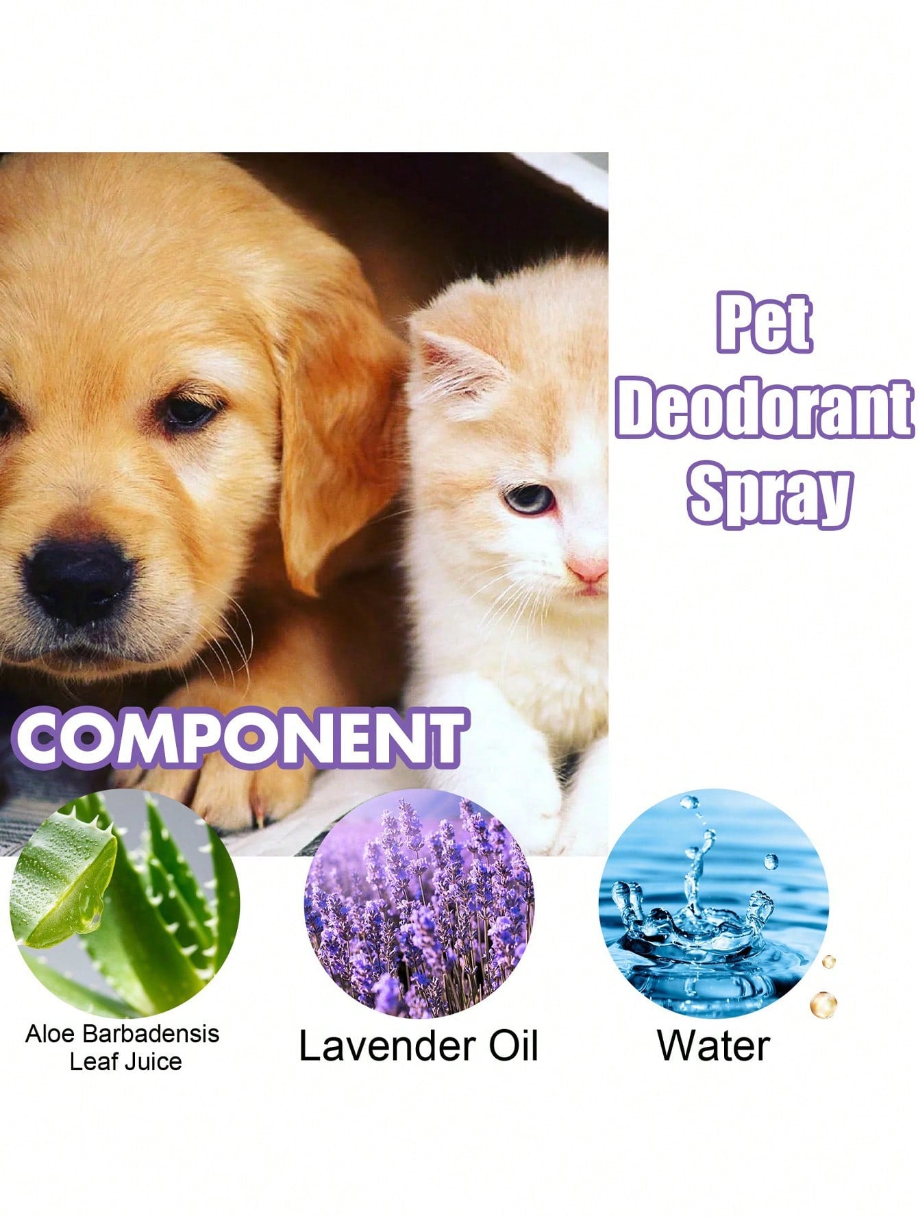 1pc Slogan Graphic Pet Deodorant For Cat Dog For Cleaning