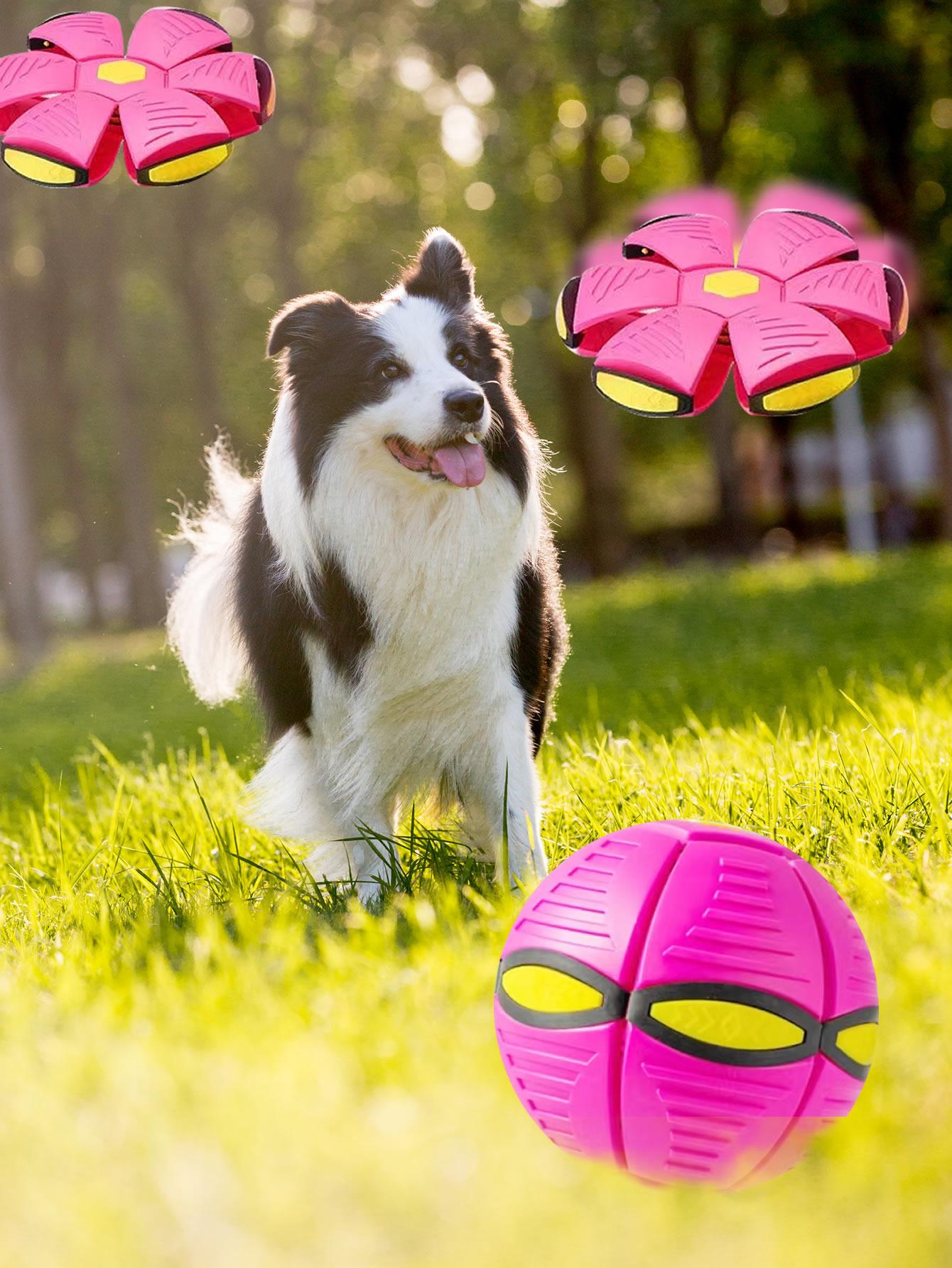 1pc Ball Design Pet Chasing Toy