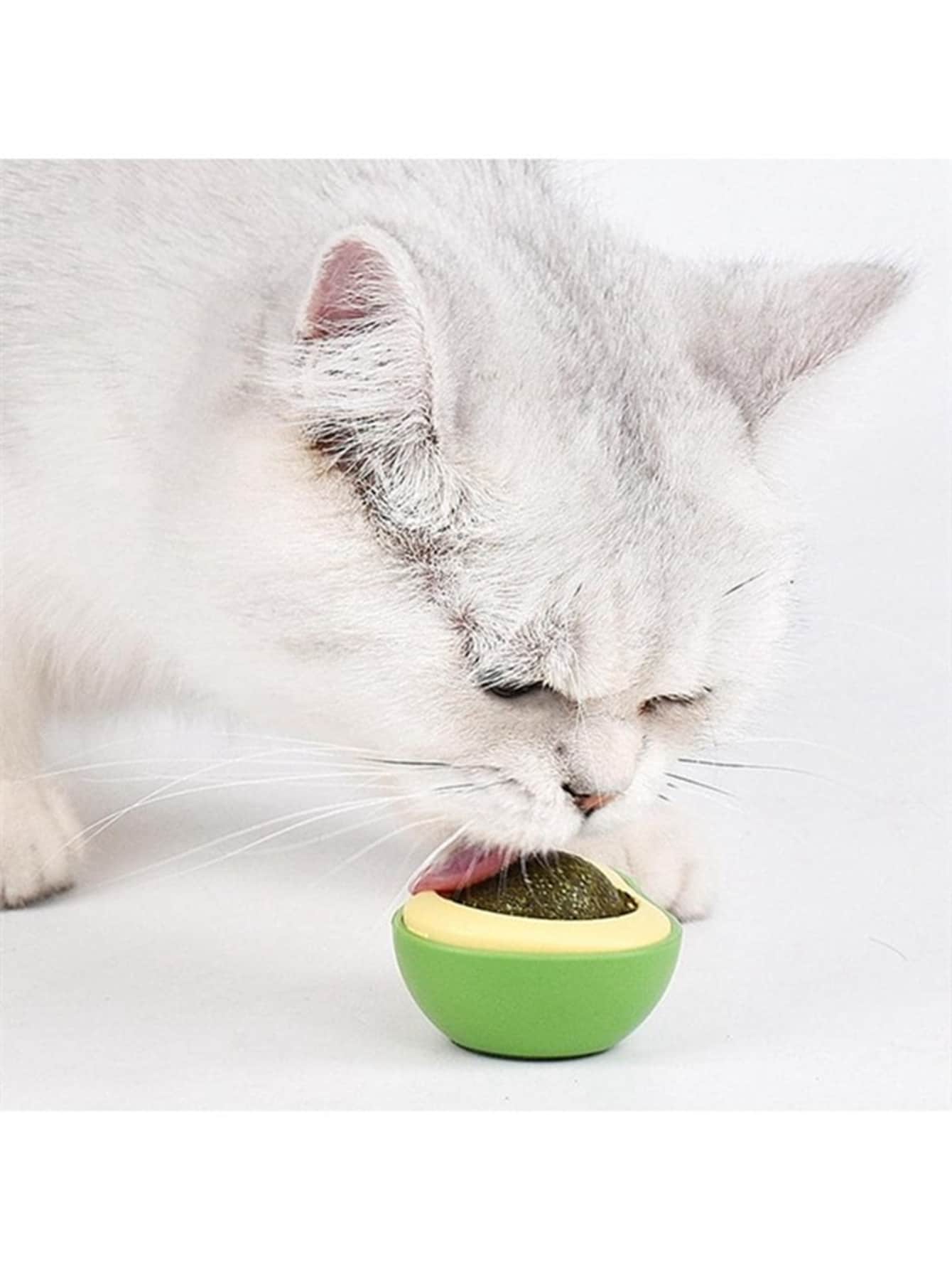 Interactive Cat Toy Avocado-shaped Catnip Ball Wood Polygonum Galls / Mint 360 Degree Rotating Cleaning Teeth Chewing Toys