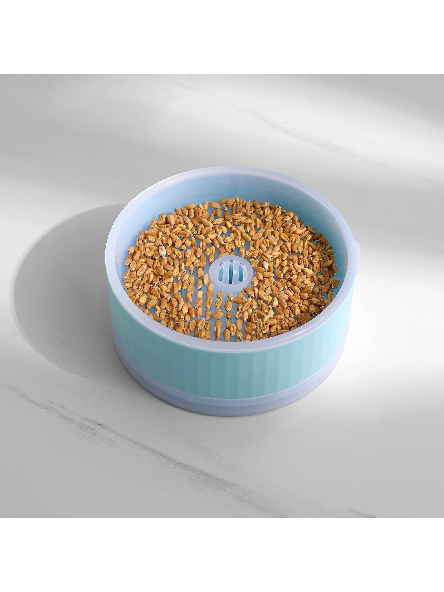 1pc Blue Round Cat Grass Box