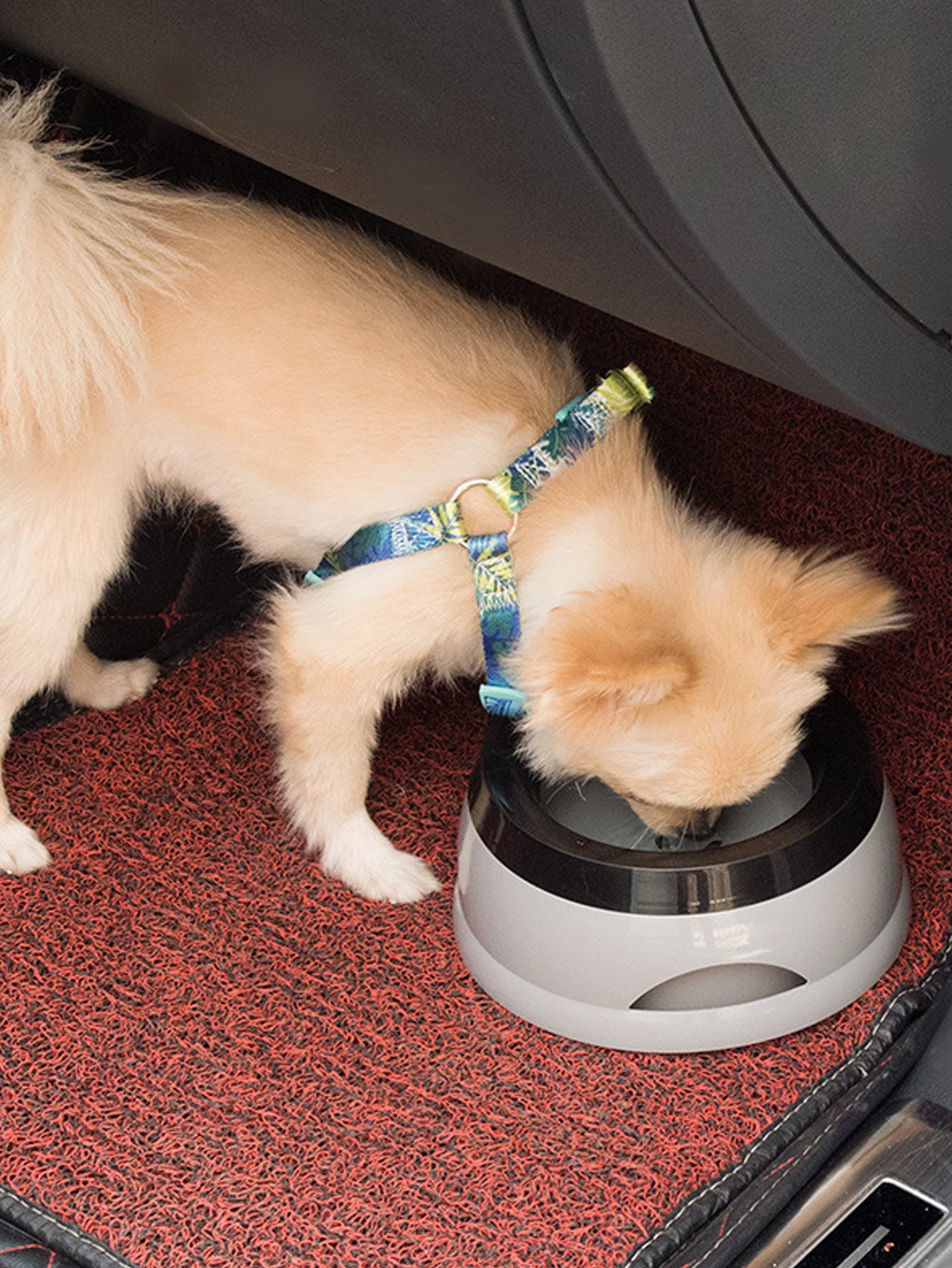 1pc Pet Water Bowl For Traveling And Cars, Anti-skid & Anti-splash & Non-wet Mouth & Non-spill For Dogs And Cats