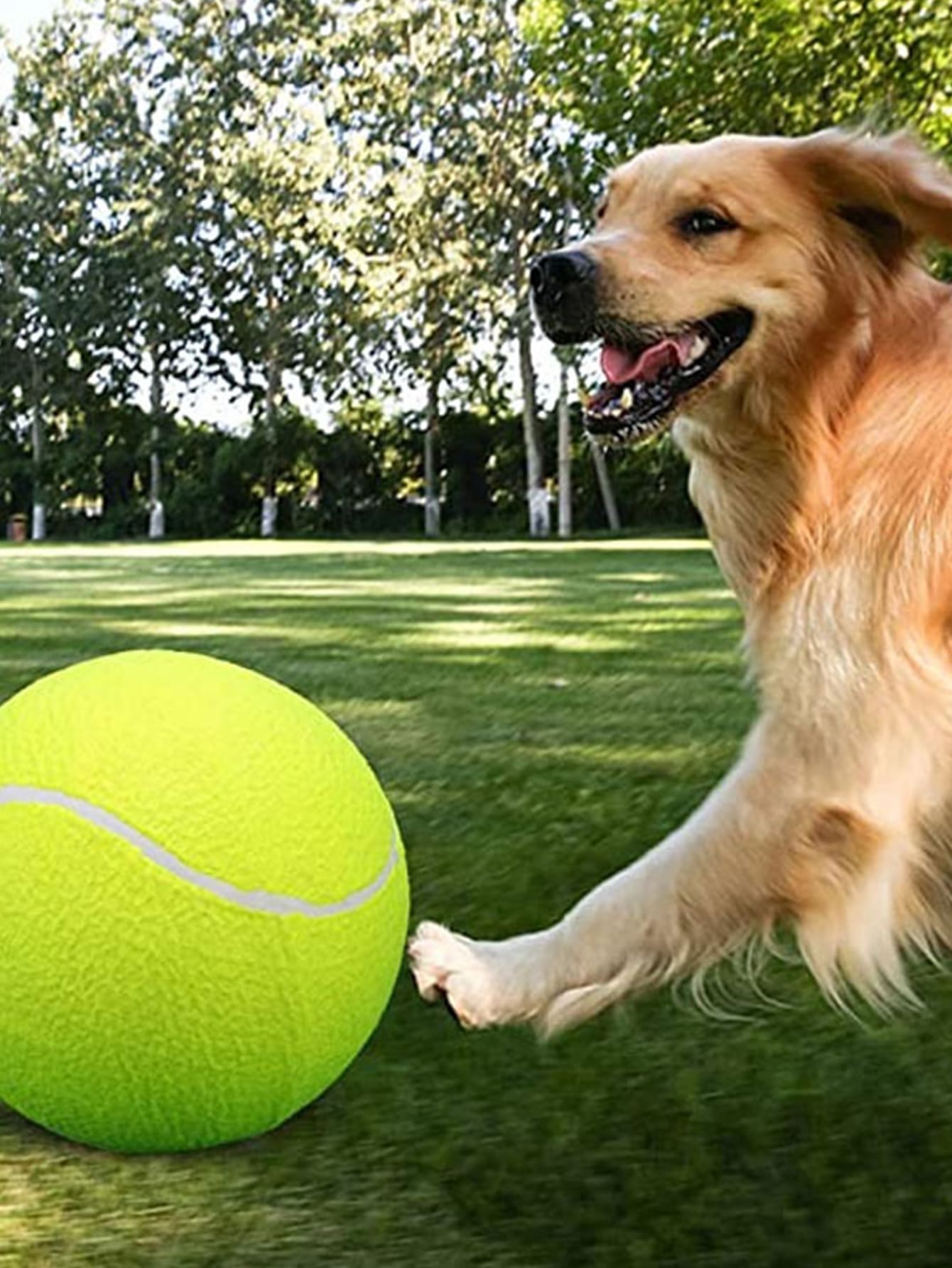 Inflatable Dog Tennis Ball Toy 21cm Diameter