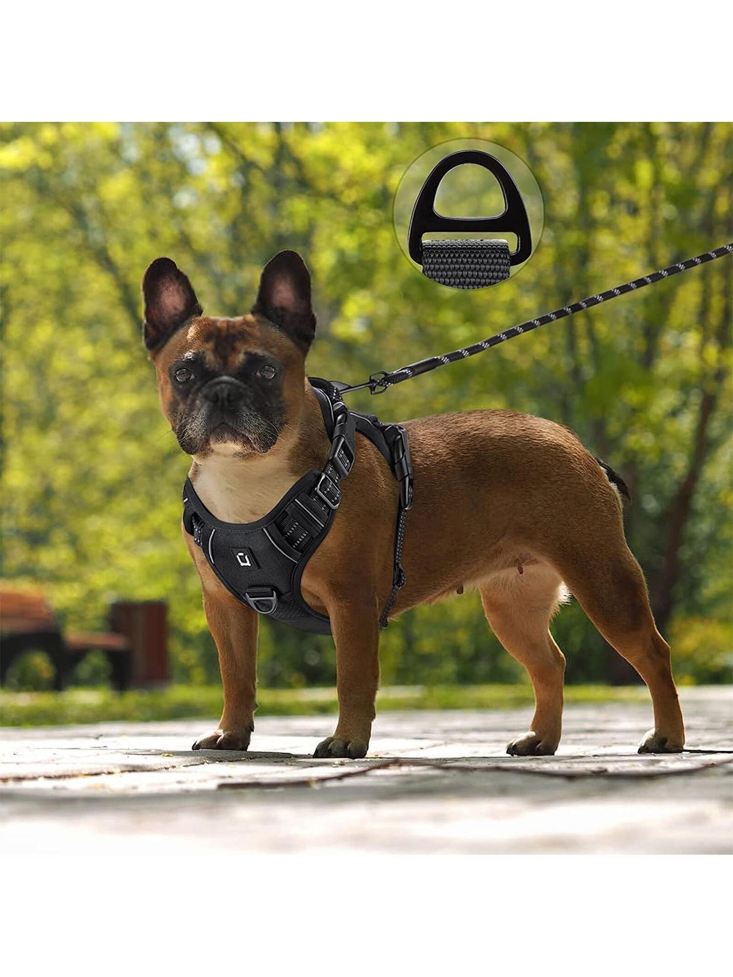 Dog Harness and Leash Combo, Escape Proof No Pull Vest Harness, with 5 Feet Leash, Reflective Adjustable Soft Padded Pet Harness with Handle for Small to Large Dogs