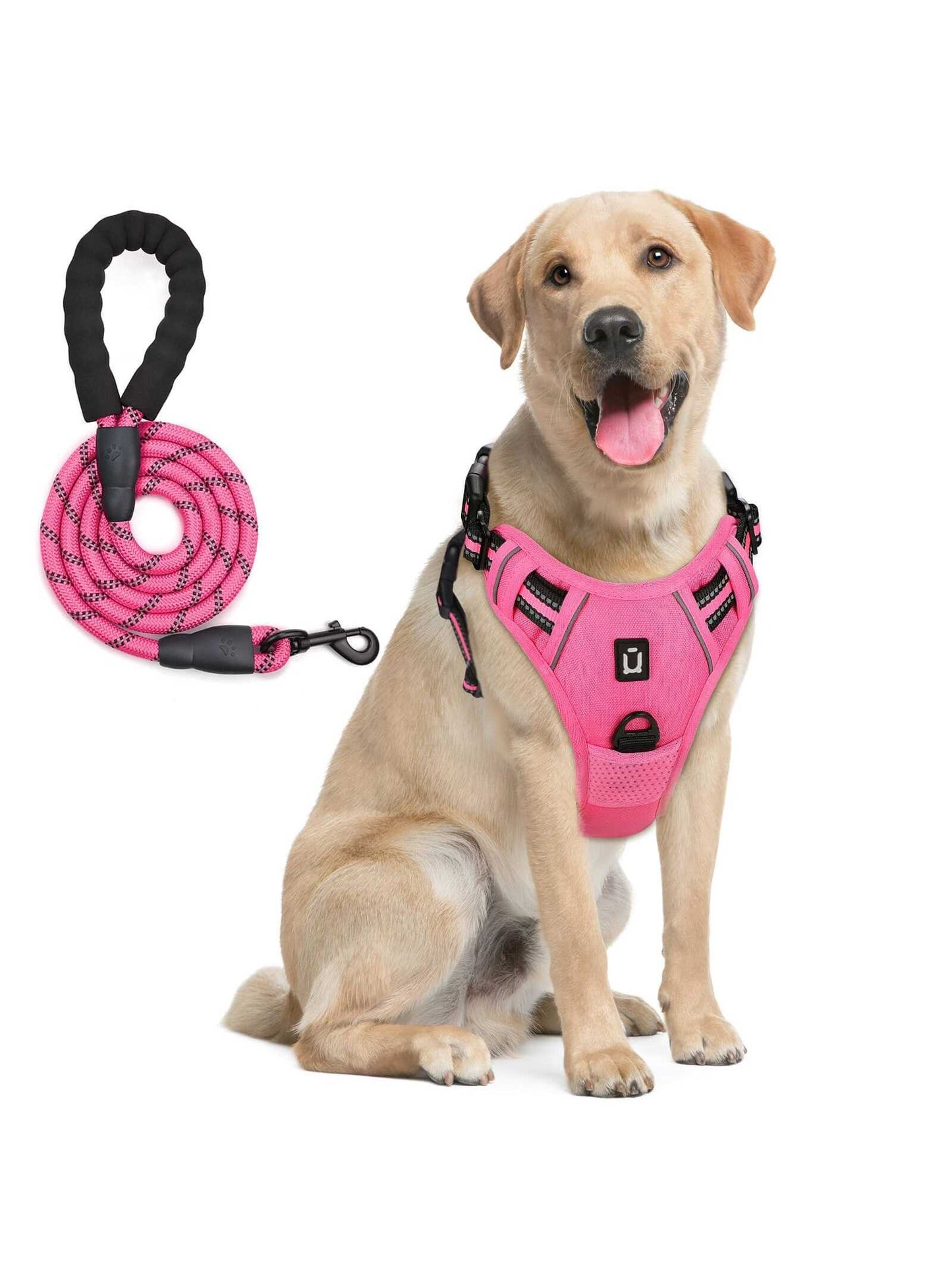 Dog Harness and Leash Combo, Escape Proof No Pull Vest Harness, with 5 Feet Leash, Reflective Adjustable Soft Padded Pet Harness with Handle for Small to Large Dogs