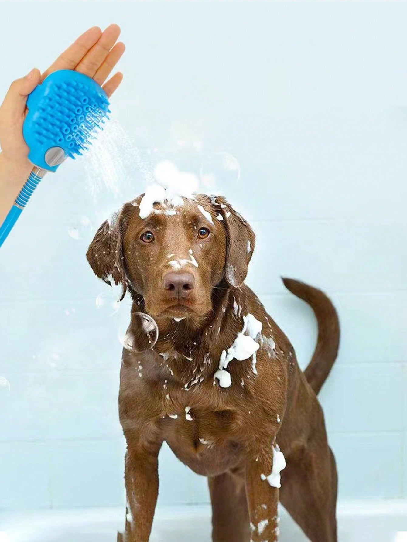 Pet Shower Spray Head