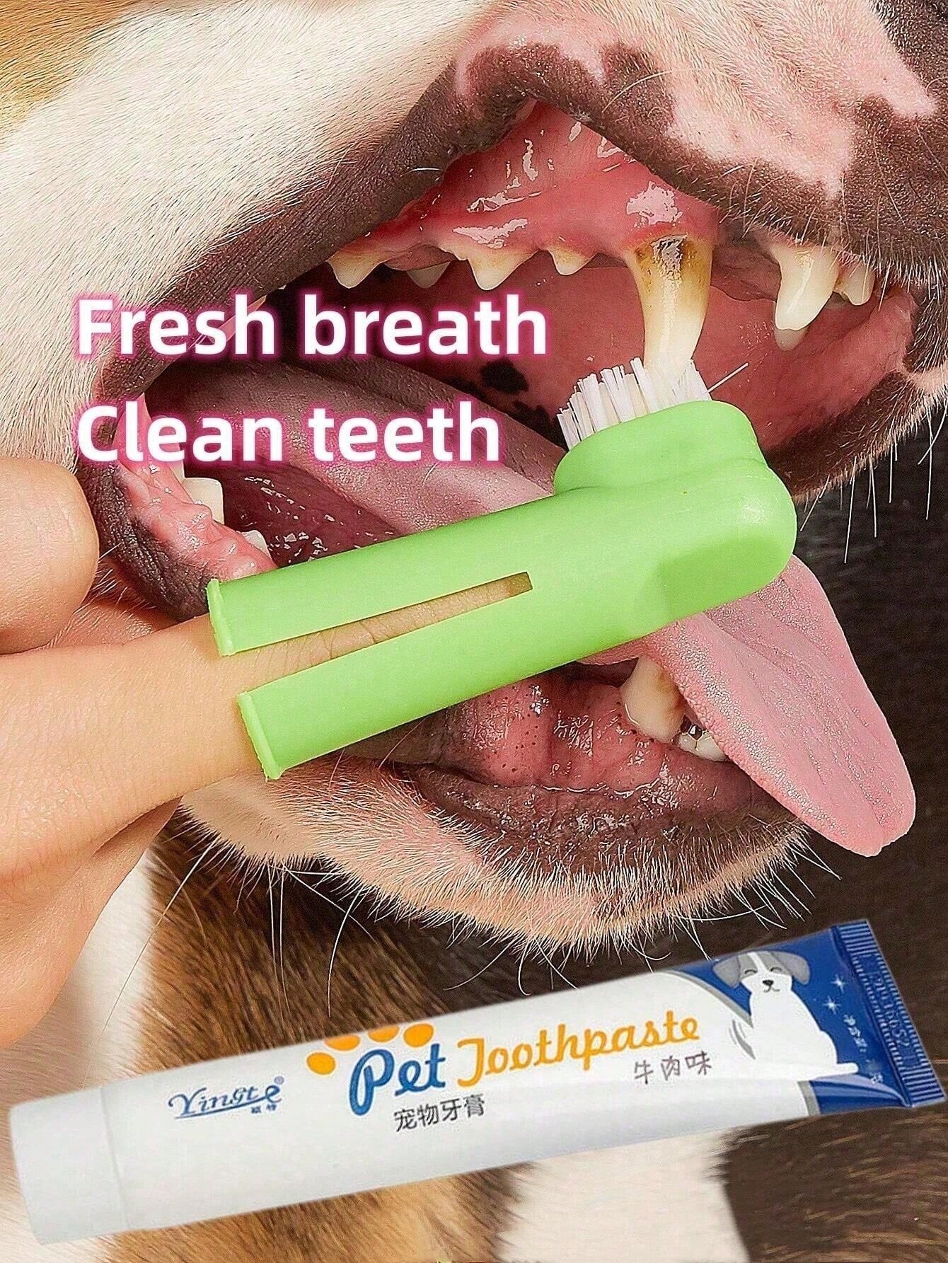 1set Random Pet Toothbrush And Toothpaste Set For Dog And Cat Teeth Cleaning