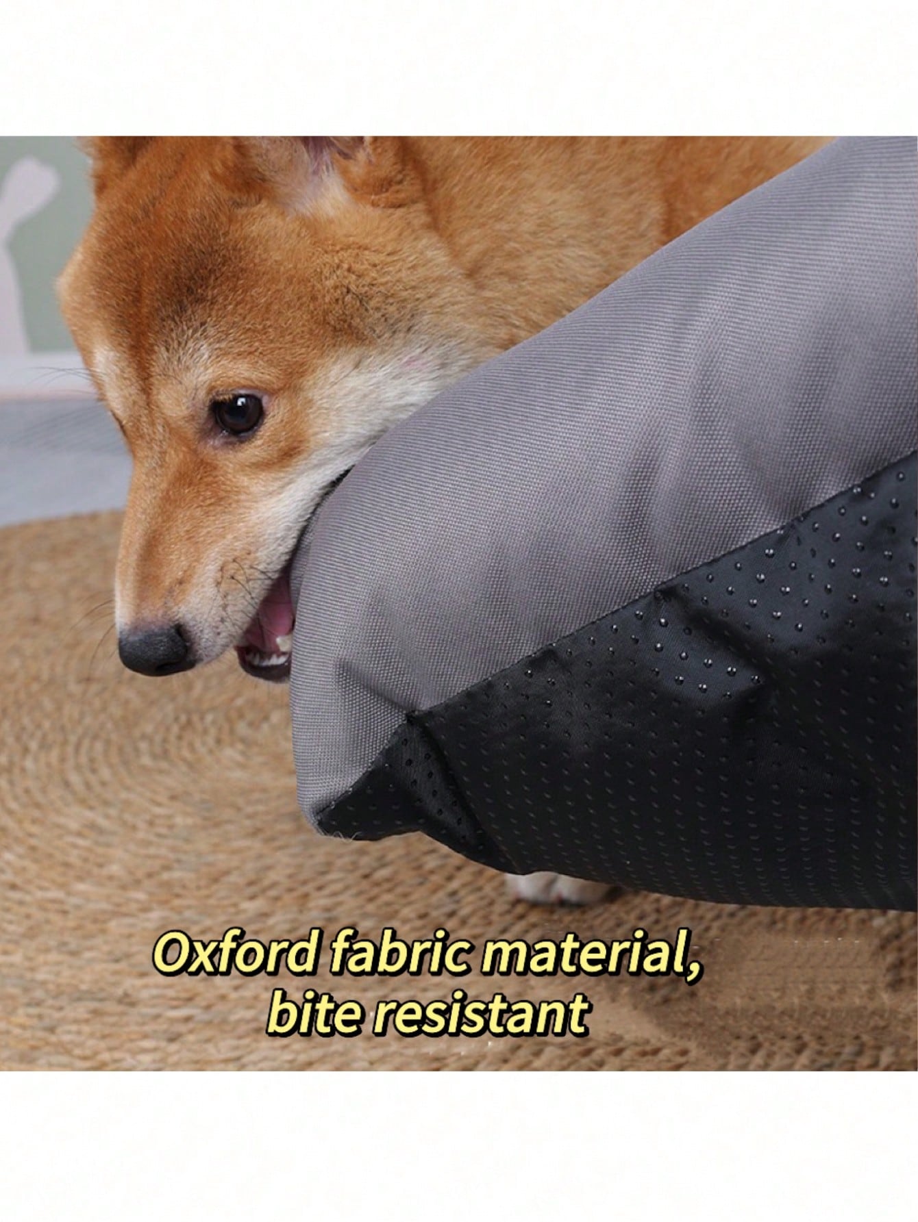 Shiba hotsell inu bed